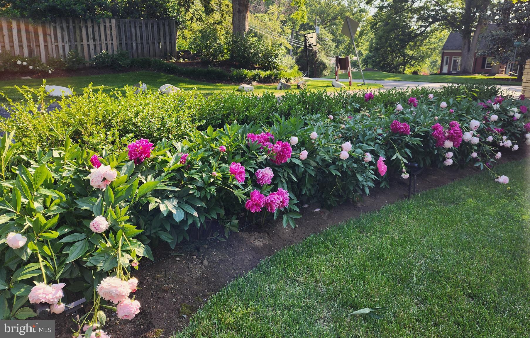 WOODHAVEN - Residential