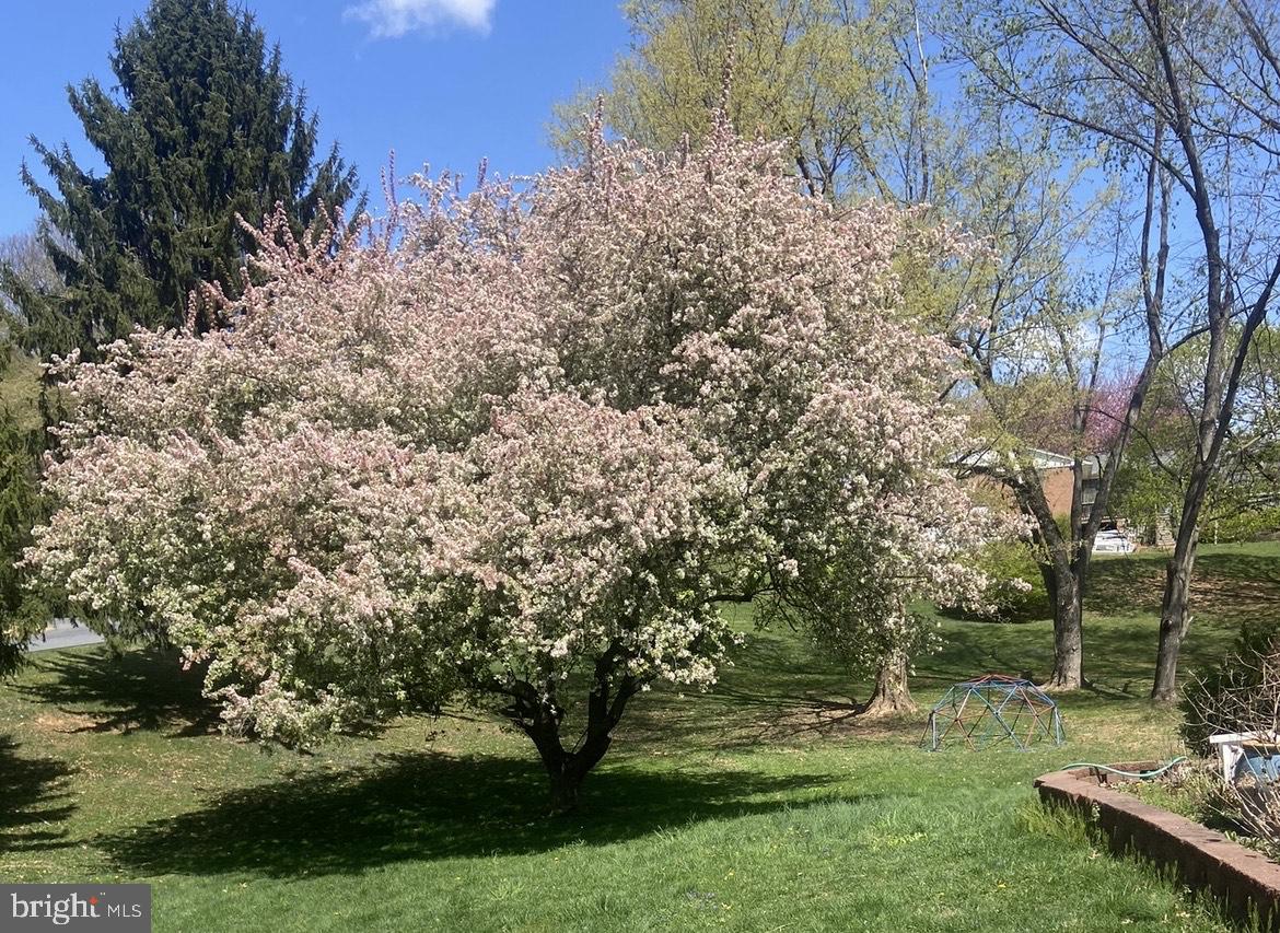 ROLLING HILLS - Residential