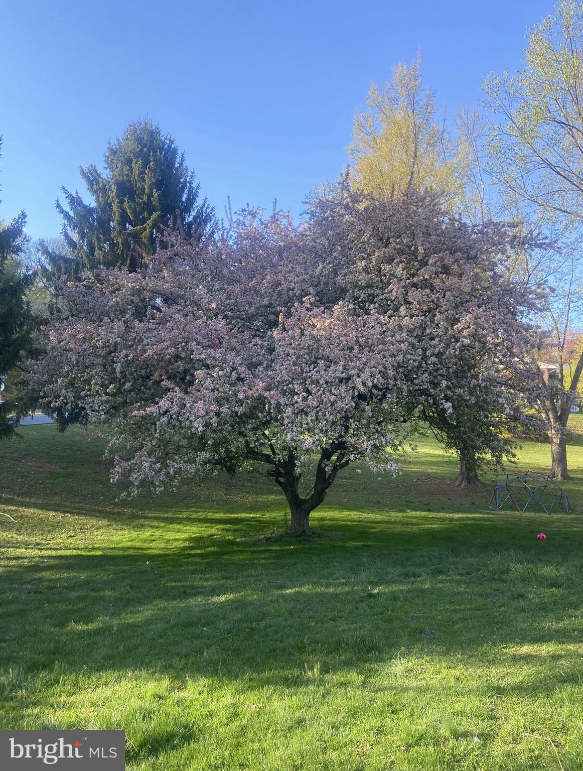 ROLLING HILLS - Residential