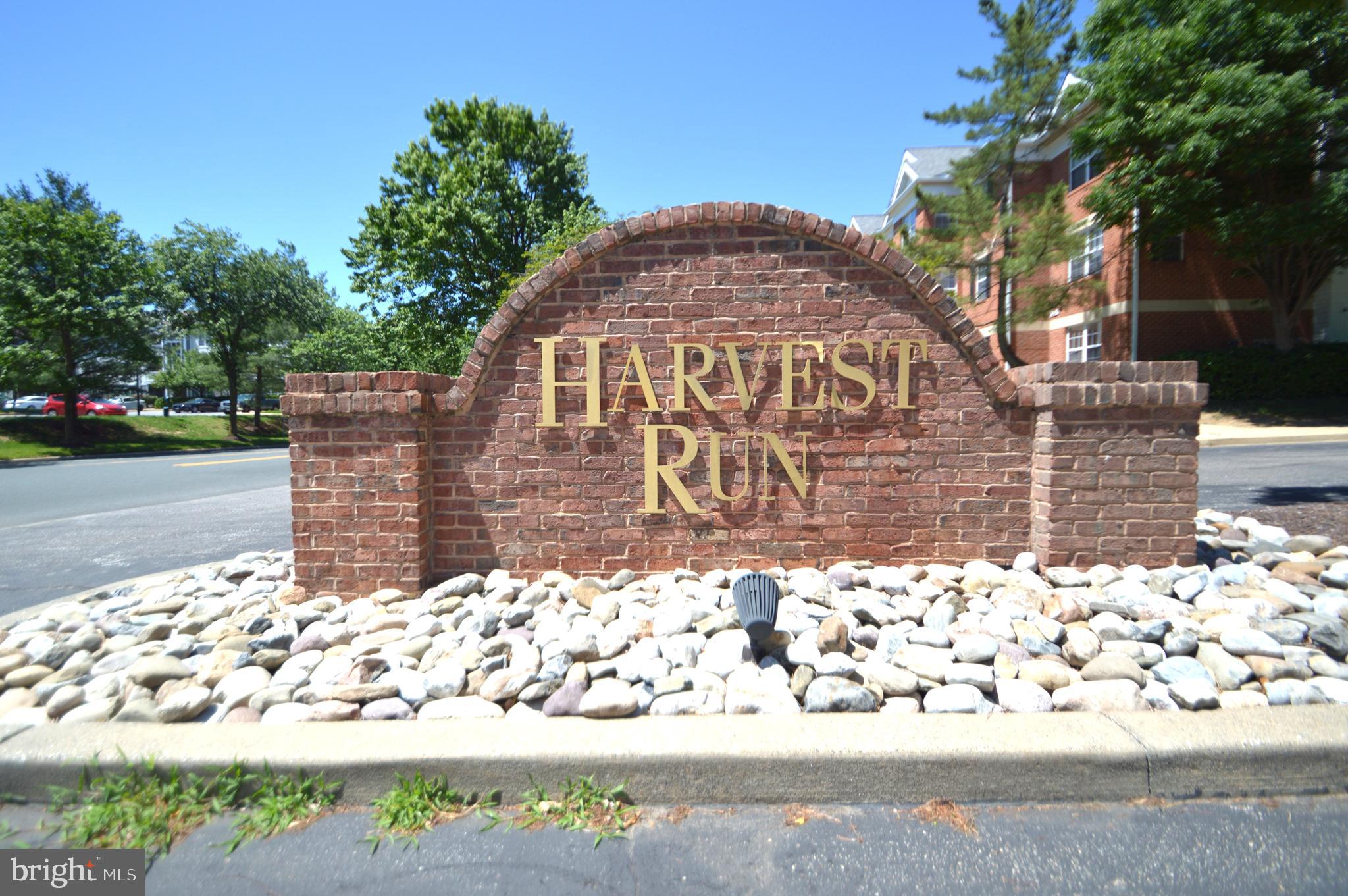 705 HARVEST RUN DRIVE 203