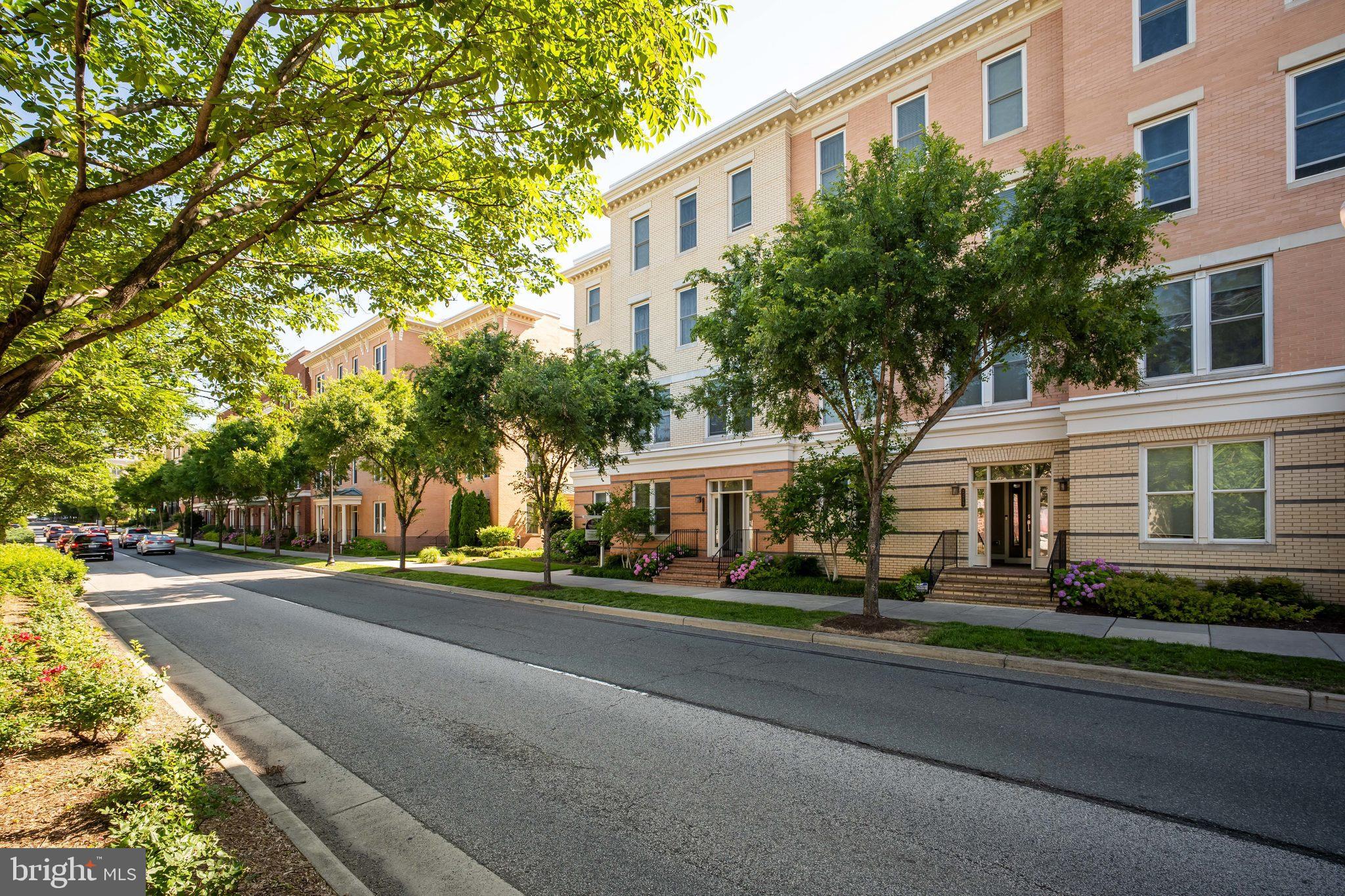 POTOMAC  YARDS - Residential