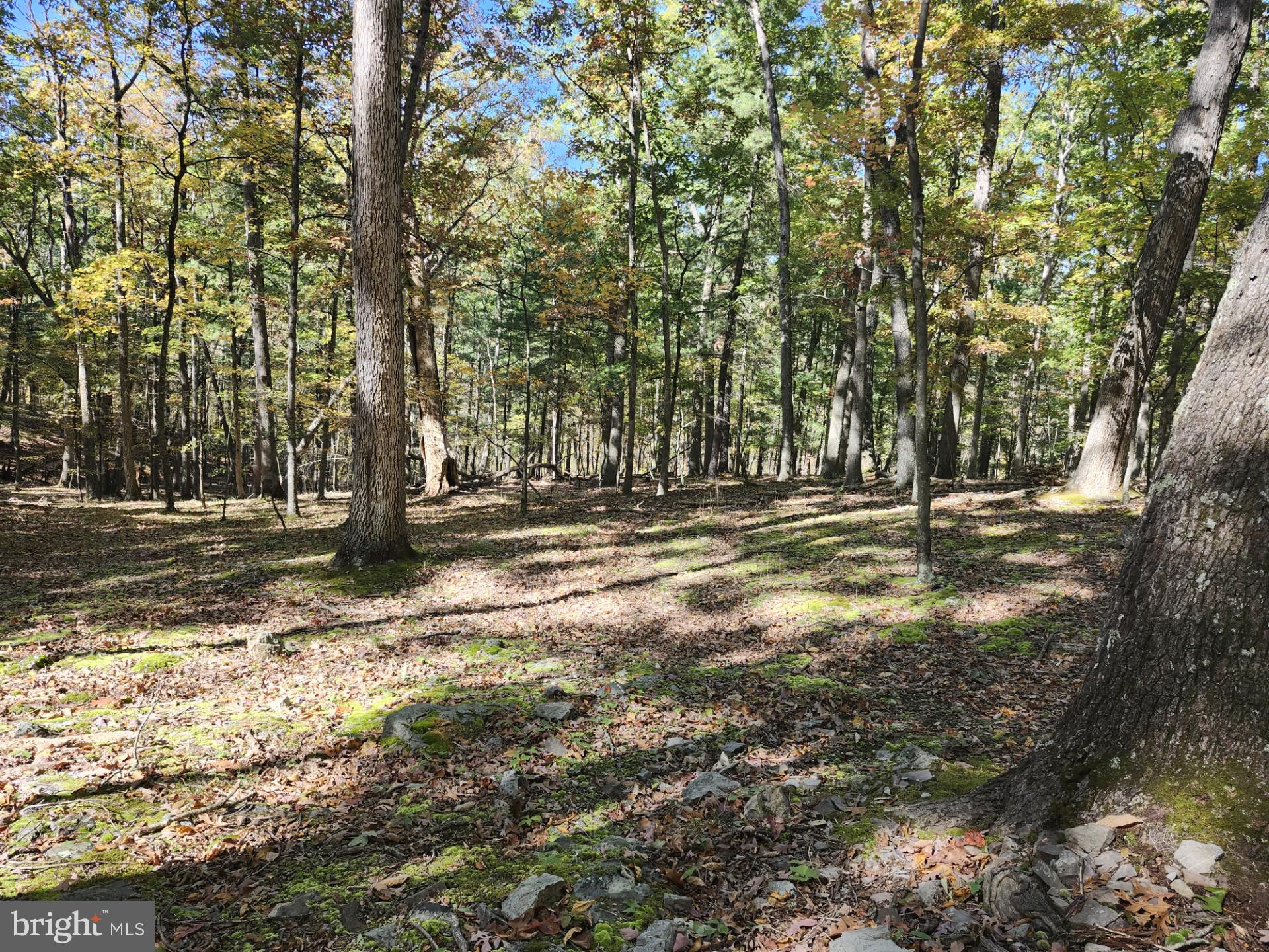 MILL MOUNTAIN ROAD
