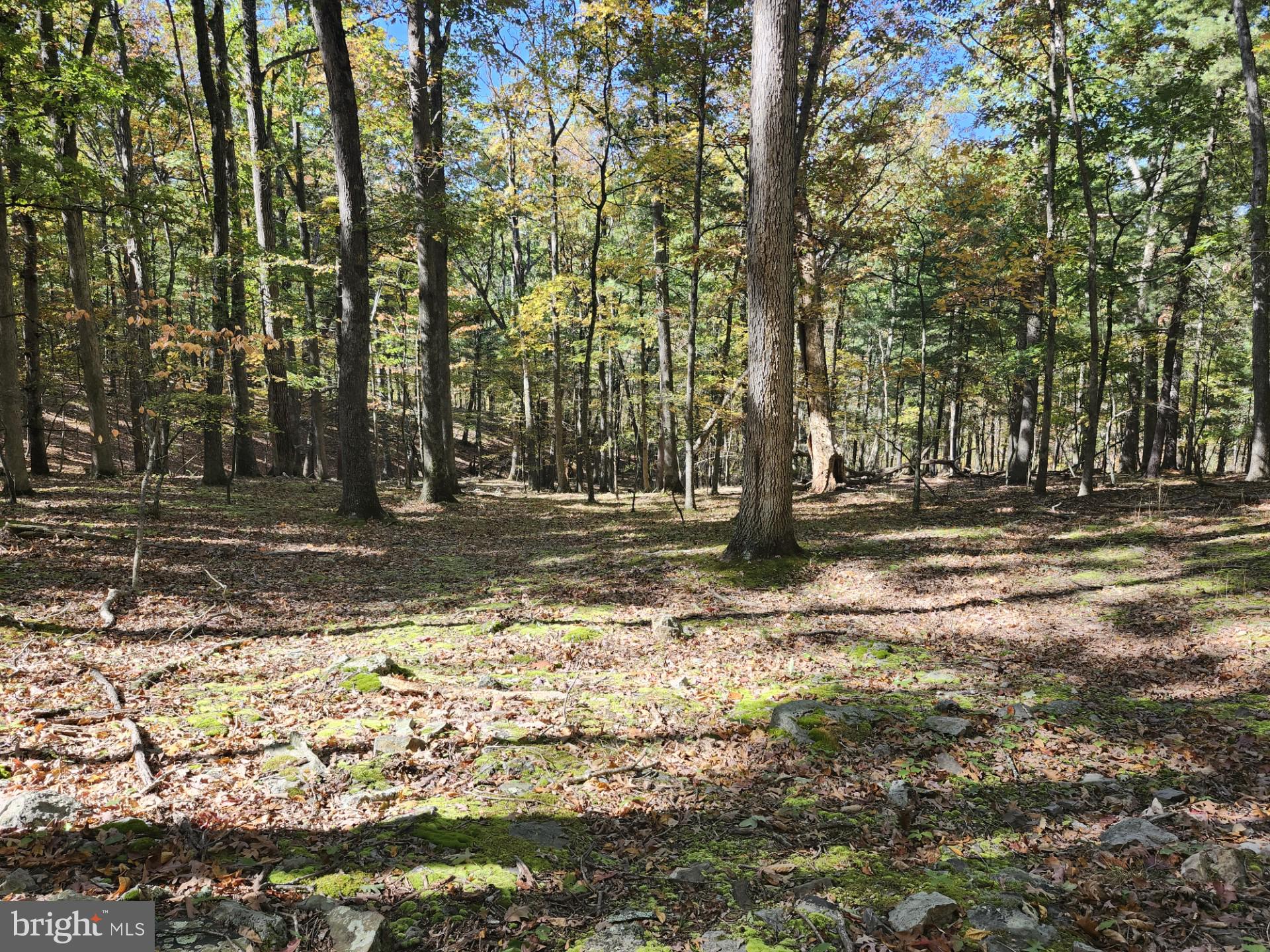 MILL MOUNTAIN ROAD