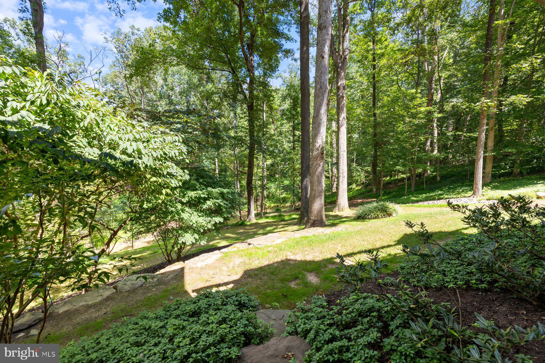 HOLLY KNOLL - Residential