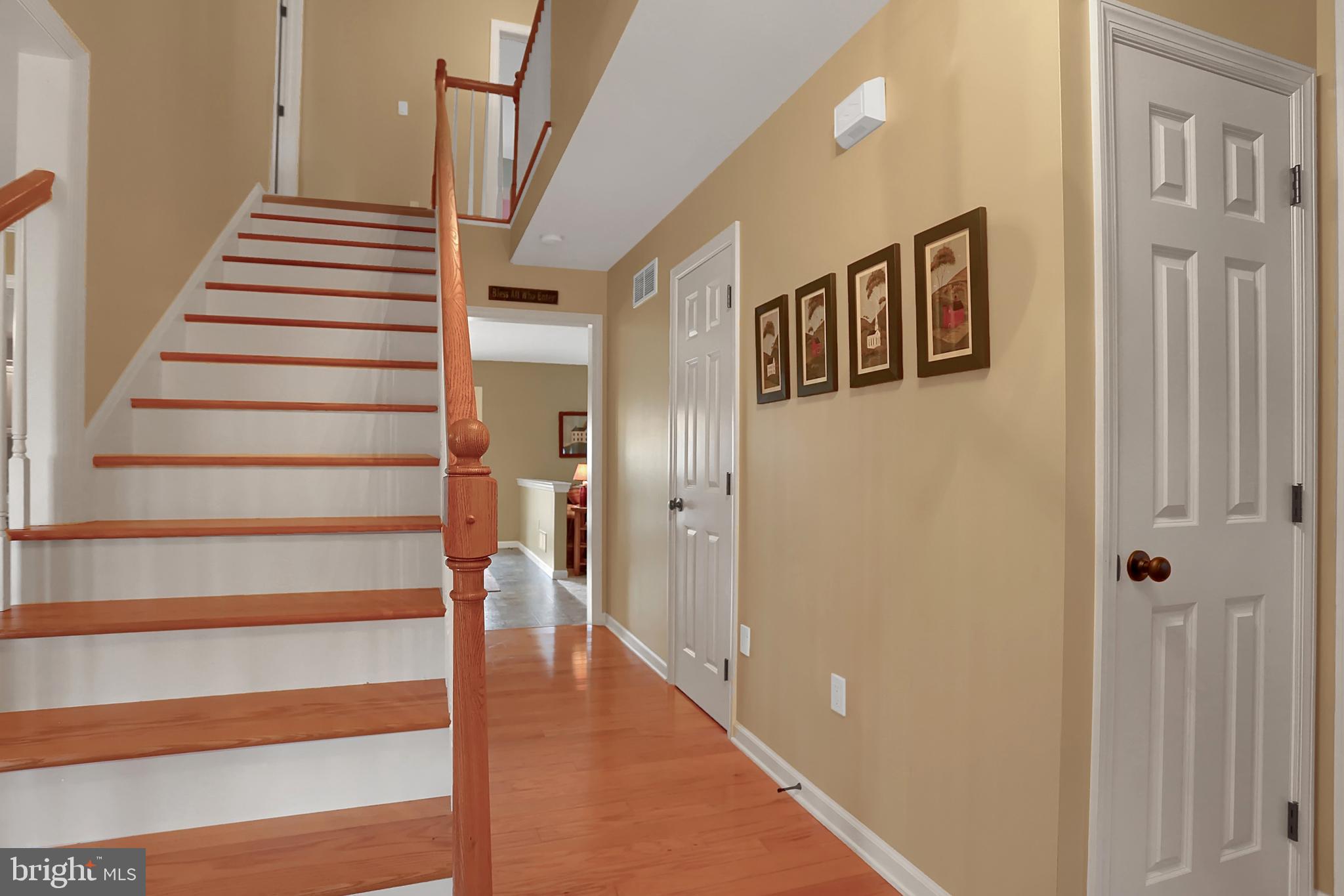 CHESTNUT RIDGE - Residential