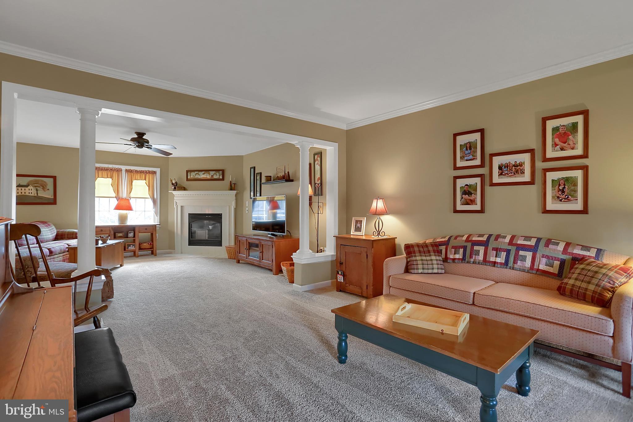 CHESTNUT RIDGE - Residential