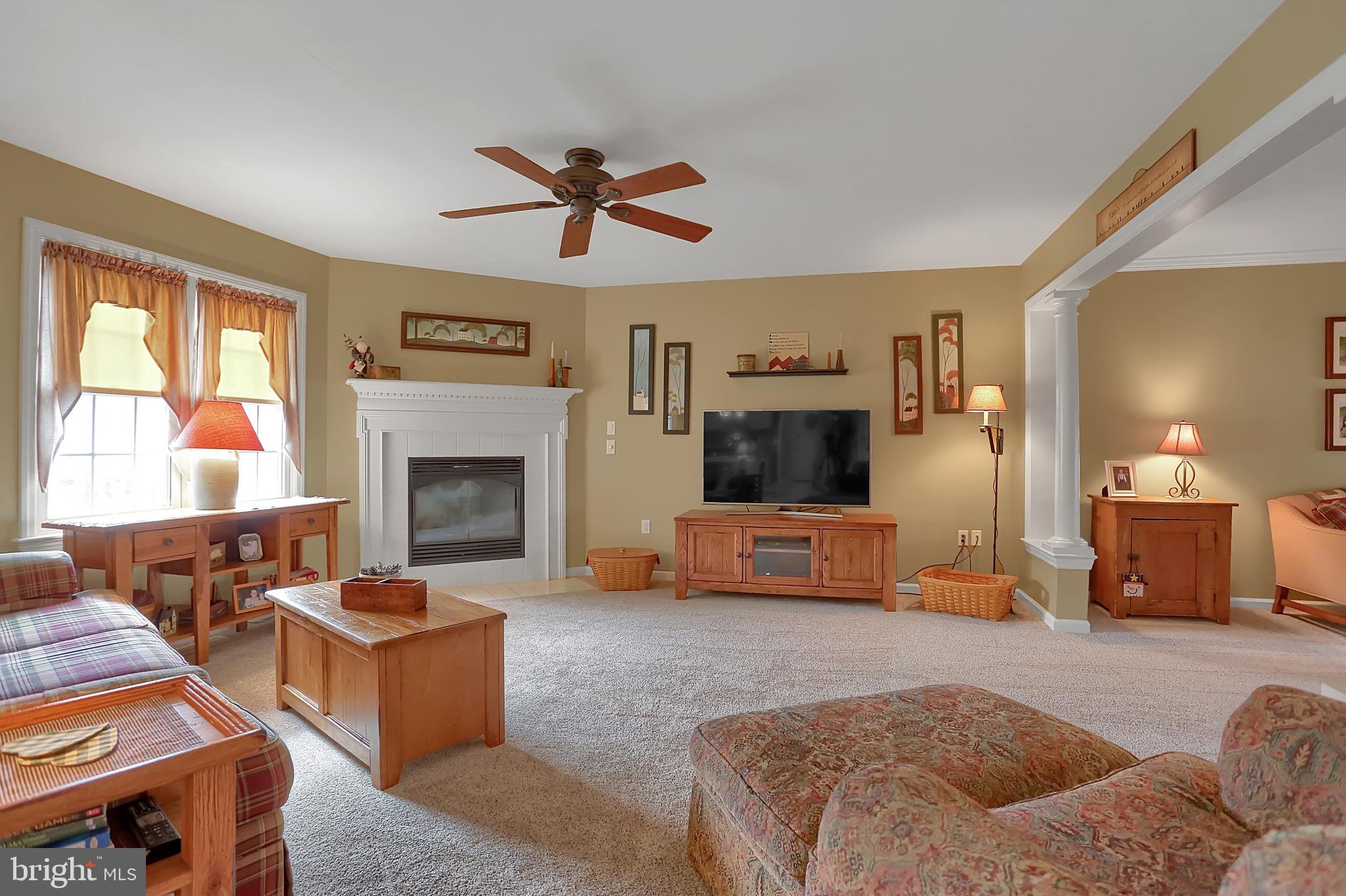 CHESTNUT RIDGE - Residential