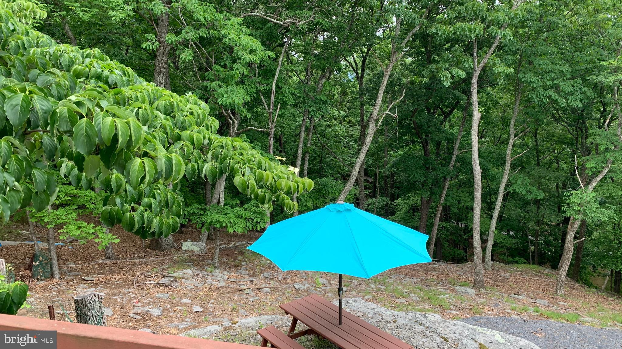 SAW CREEK ESTATES - Residential