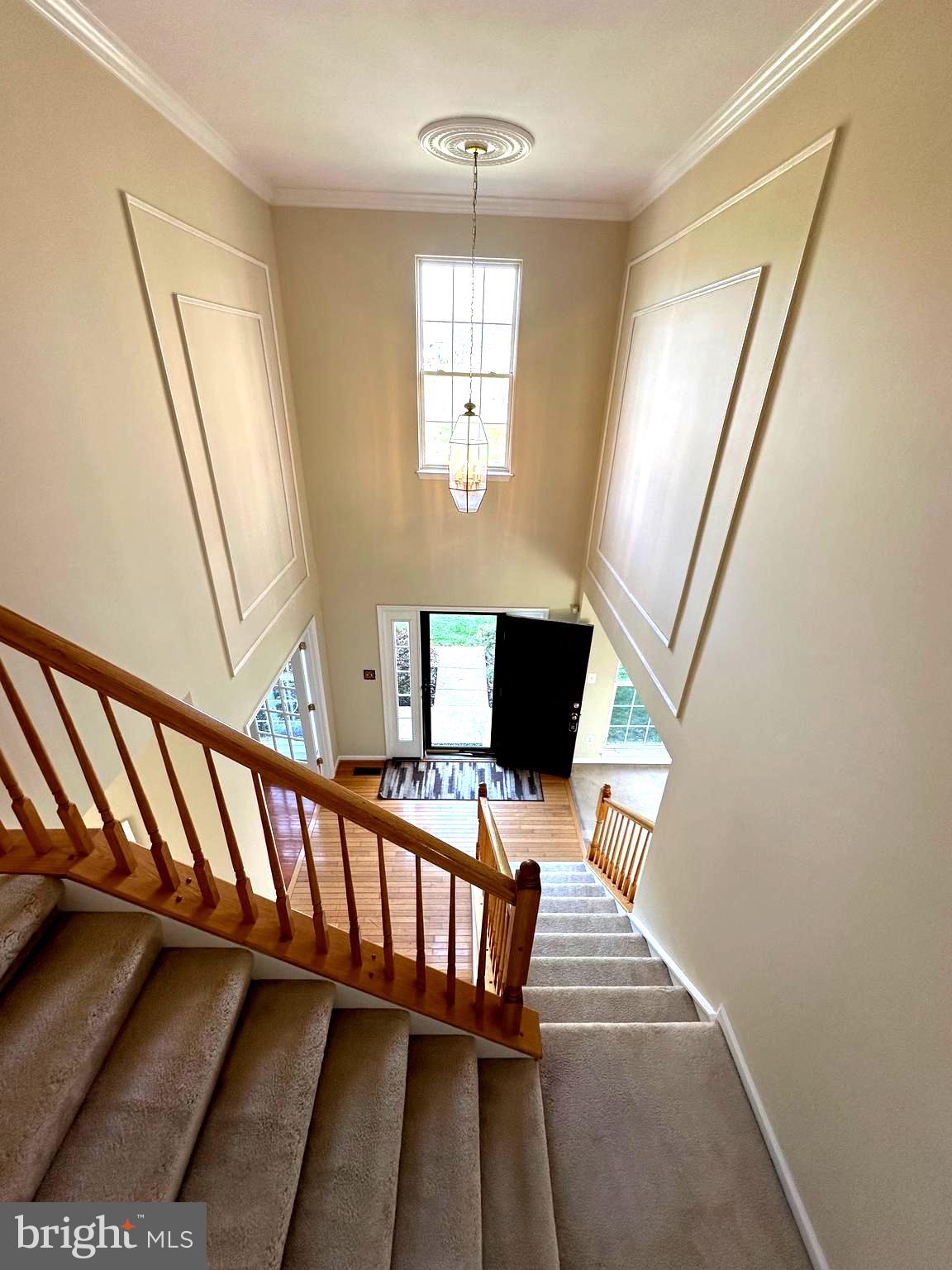 VIRGINIA OAKS - Residential