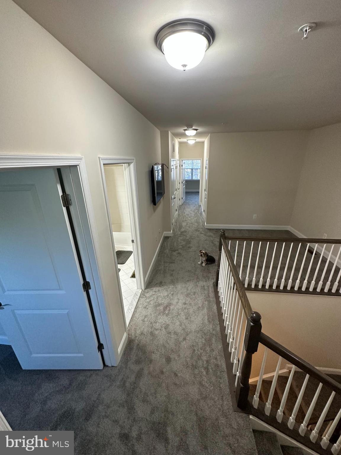 SHIPLEYS GRANT - Residential Lease