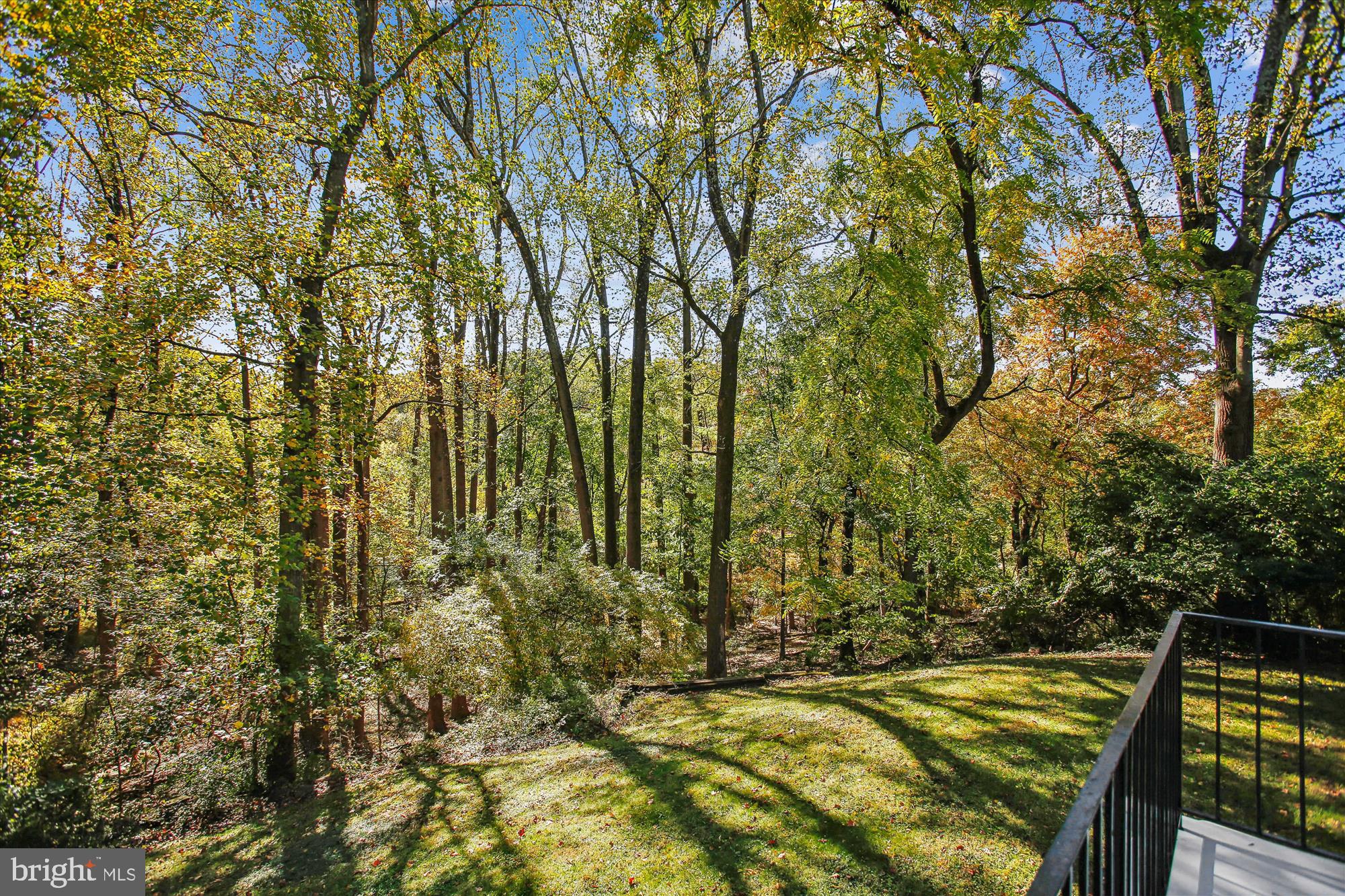 ARLINGTON FOREST - Residential