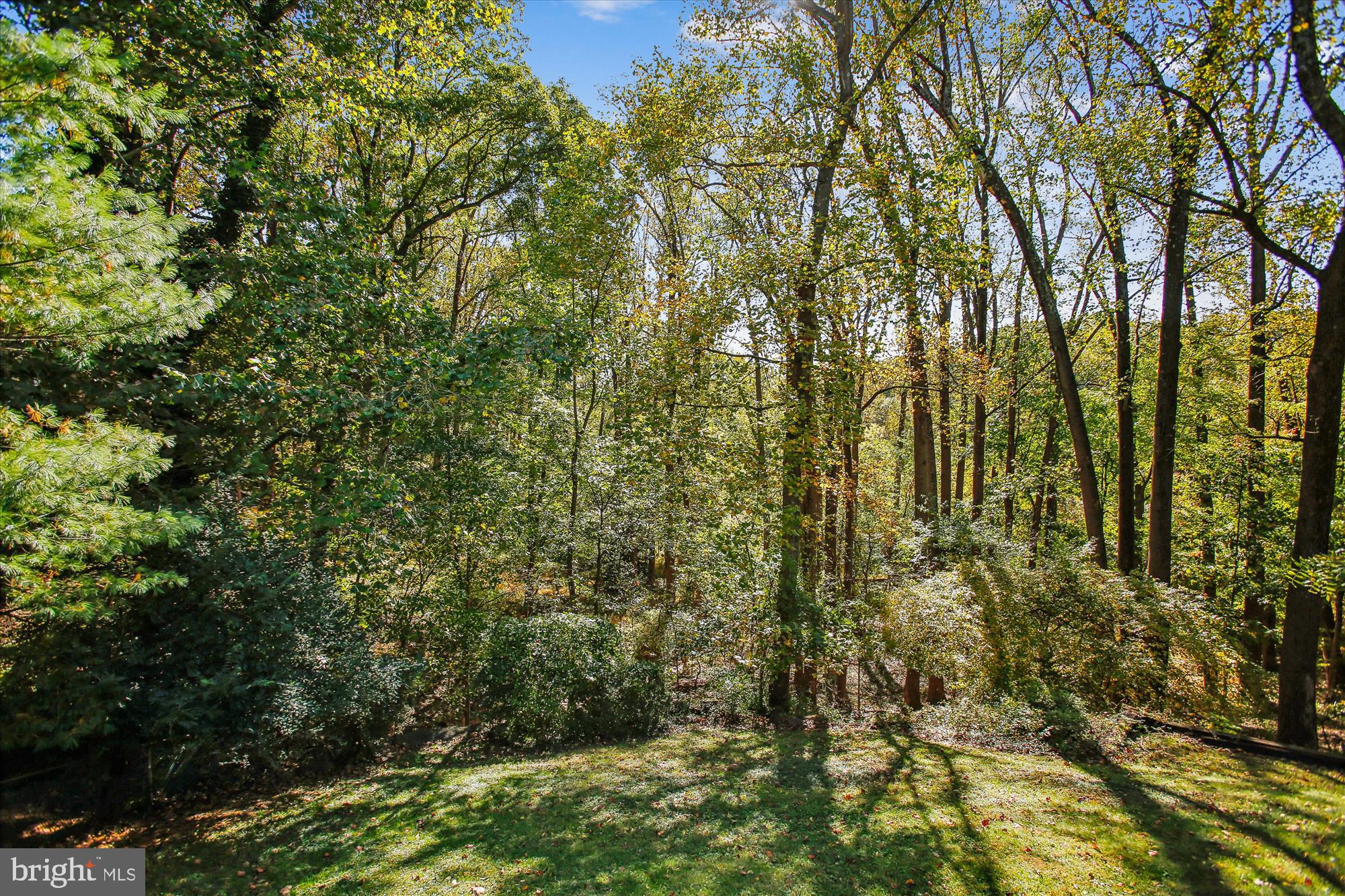 ARLINGTON FOREST - Residential