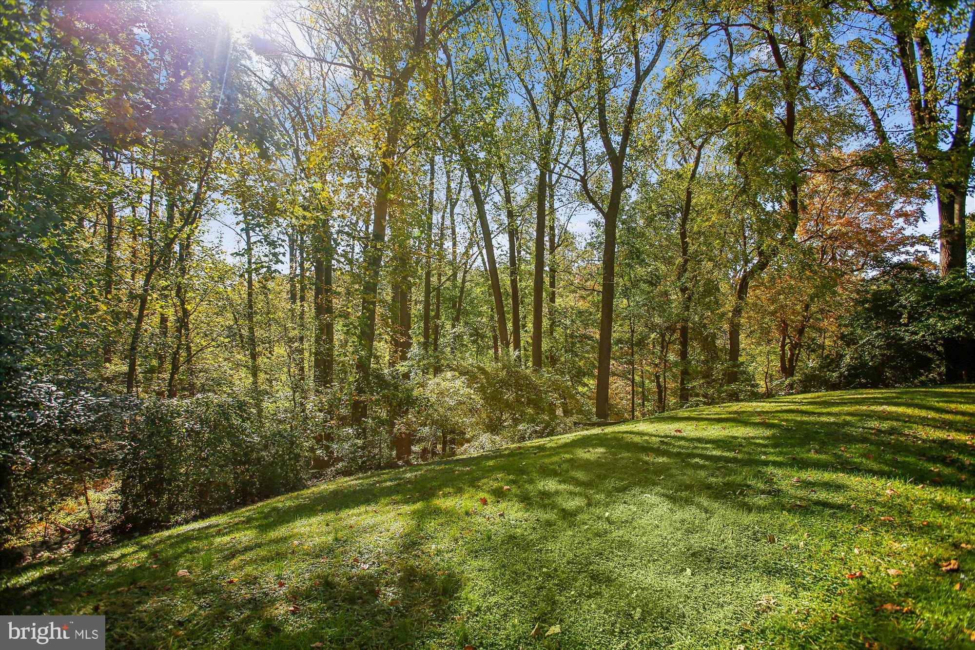 ARLINGTON FOREST - Residential