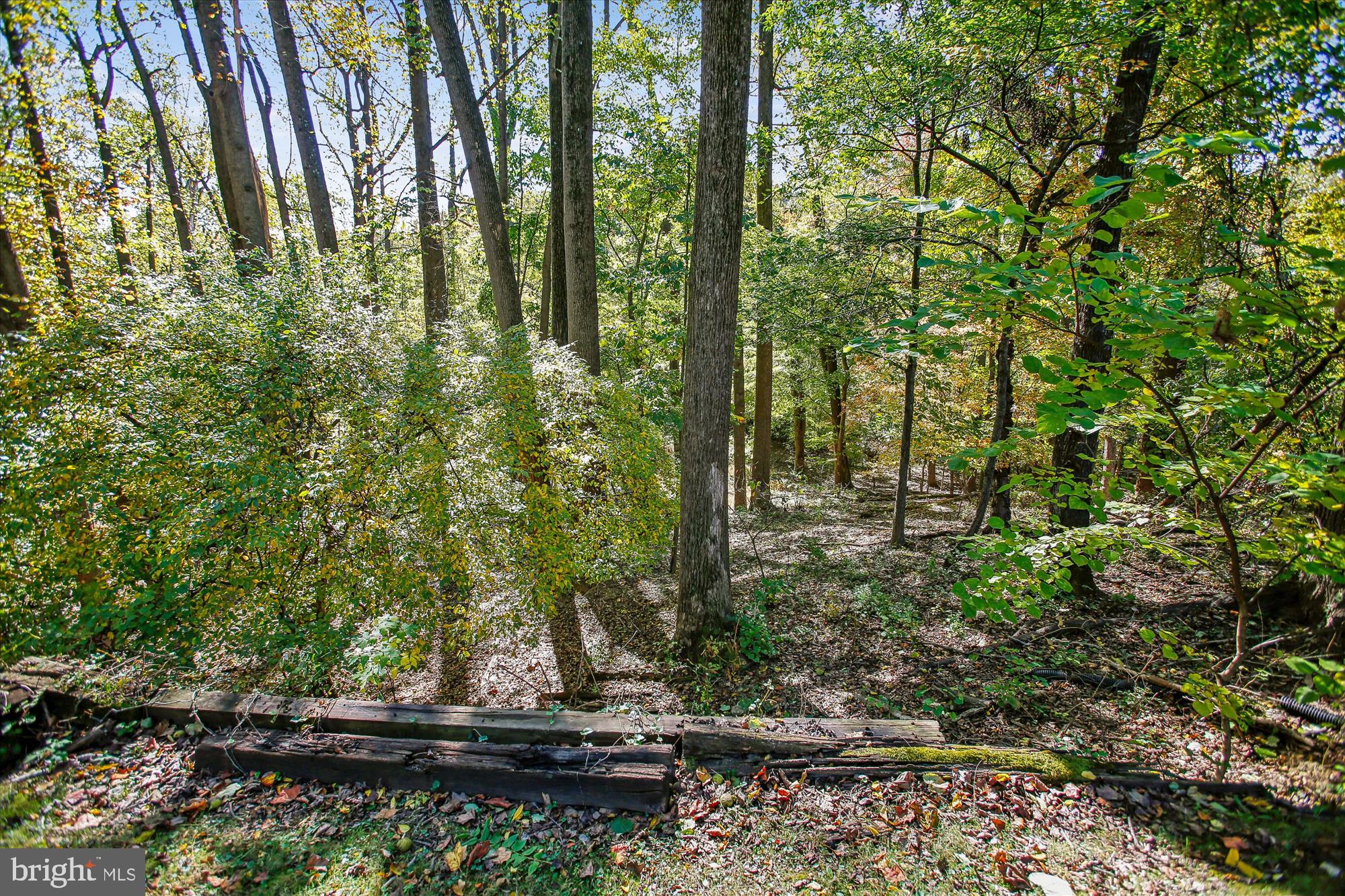 ARLINGTON FOREST - Residential