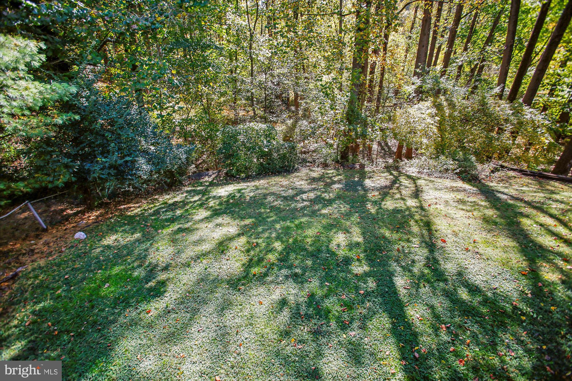 ARLINGTON FOREST - Residential