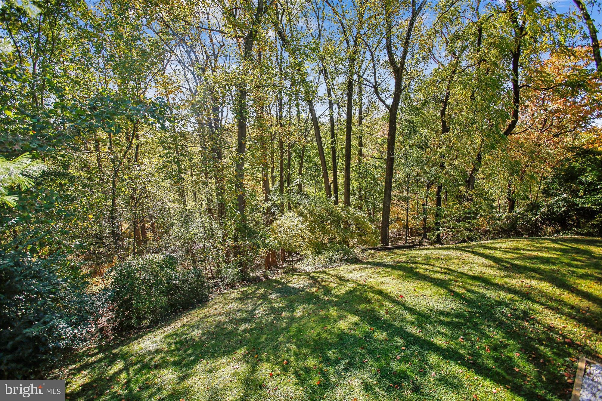 ARLINGTON FOREST - Residential