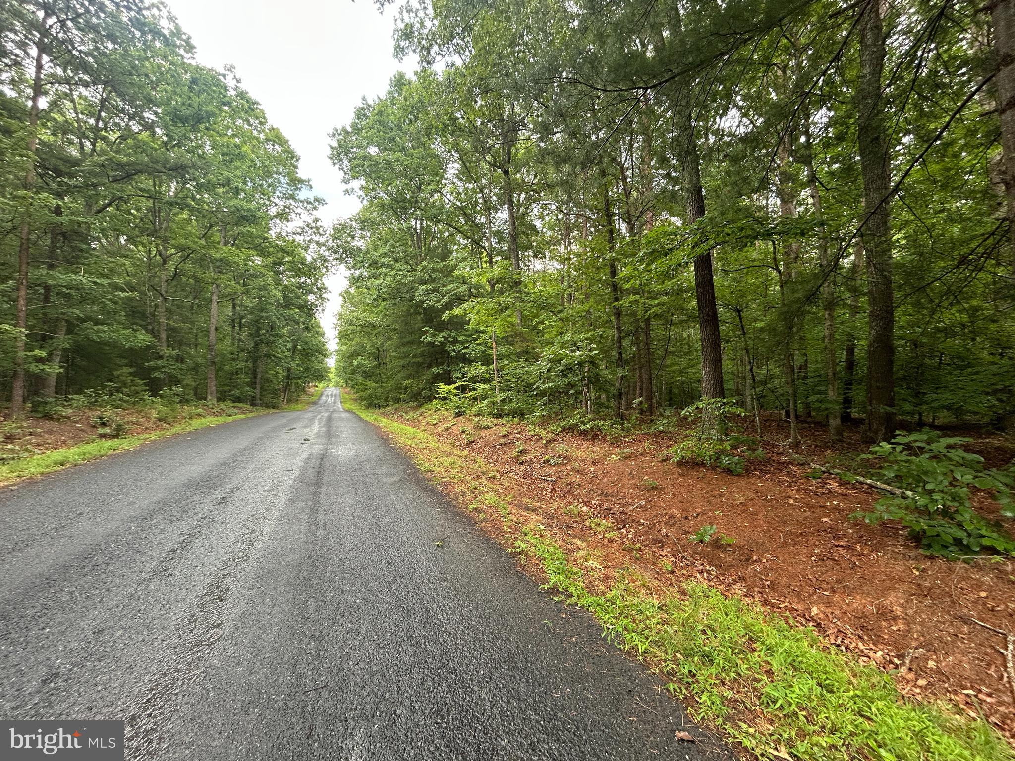 Lot 37 HARBOR DRIVE