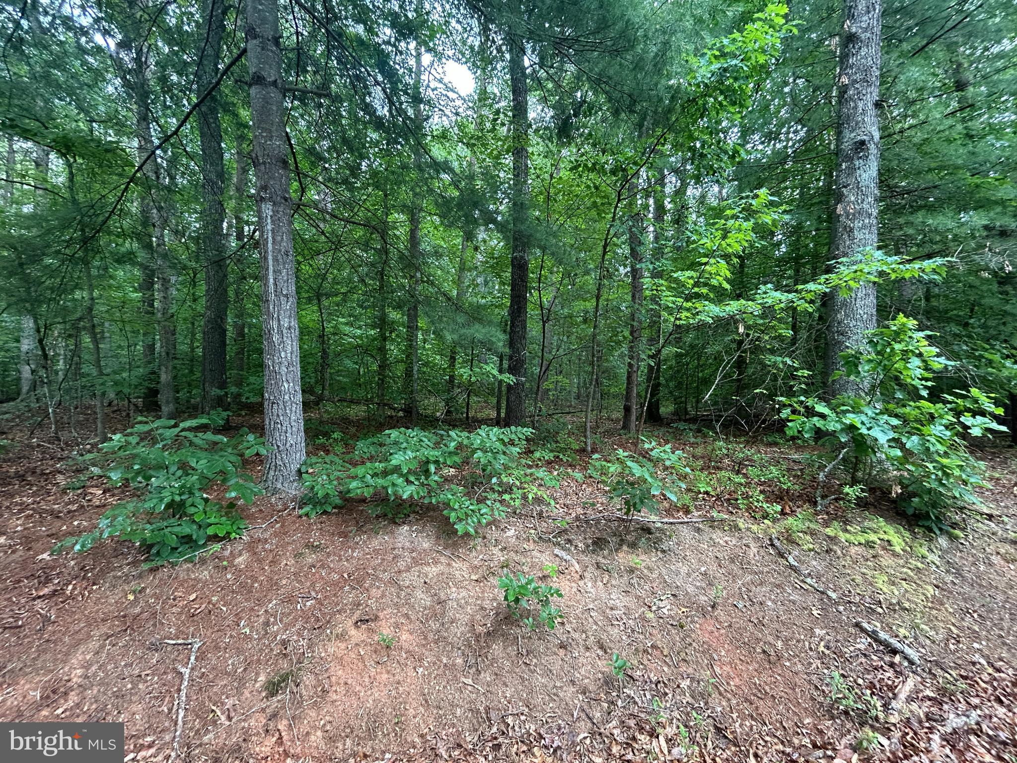 Lot 37 HARBOR DRIVE