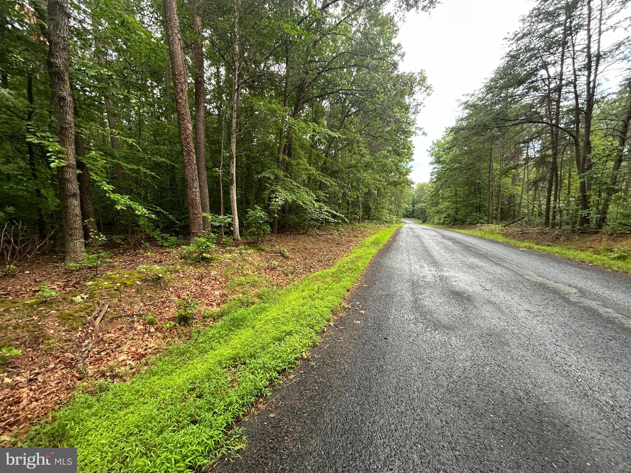 Lot 37 HARBOR DRIVE