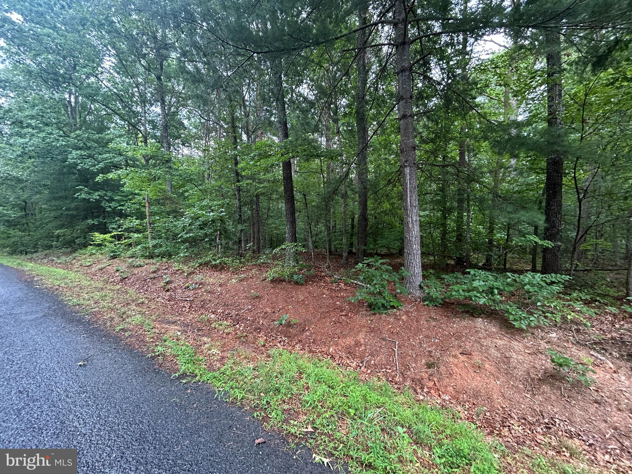 Lot 37 HARBOR DRIVE