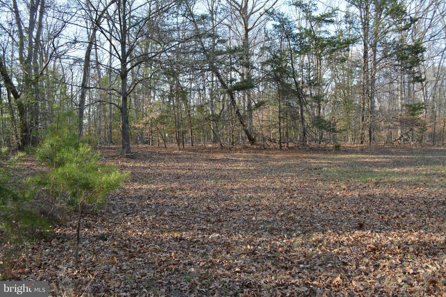 Popular School District - Great location close to town, beautiful wooded lot w/ large clearing for the house.  Approved Perc 2014No Covenants. Mature hardwoods, Build your dream house.  House site offers privacy from neighboring houses