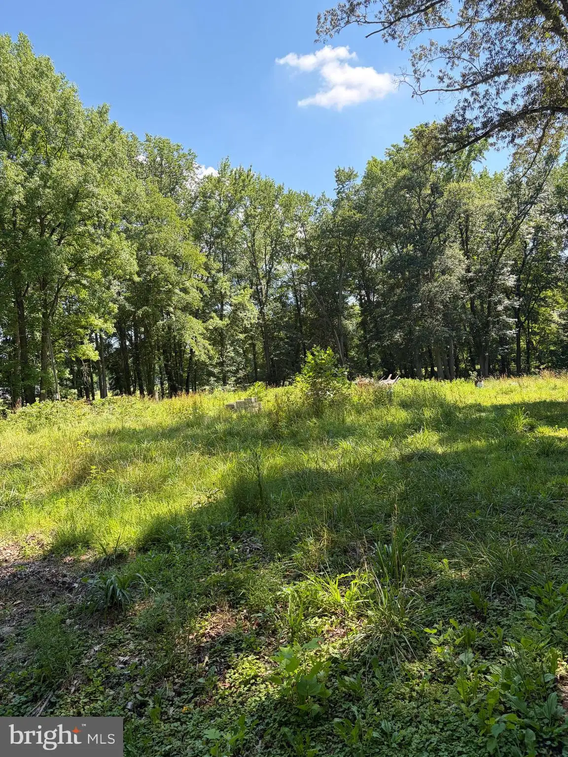Additional image 7 of 226 Black Stallion Road, Townsend, DE 19734