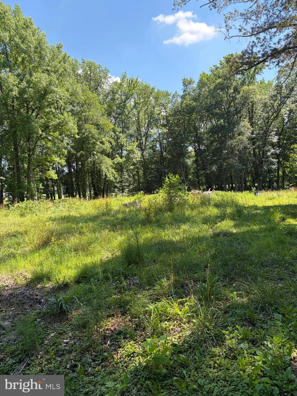 Additional image 6 of 226 Black Stallion Road, Townsend, DE 19734
