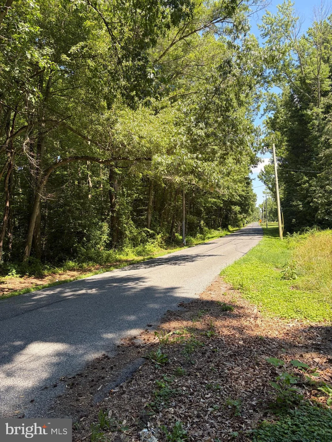 Additional image 8 of 226 Black Stallion Road, Townsend, DE 19734