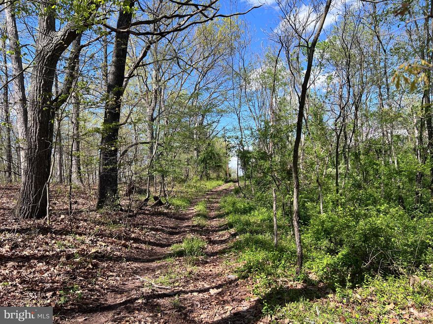 Unrestricted 50 mostly wooded acres waiting for the right ownership. Explore the possibilities of sub dividing or develop your own family compound. ATV trails available all over the property. Great hunting adventures await the whole family.  Investment opportunity awaits for $350,000.
