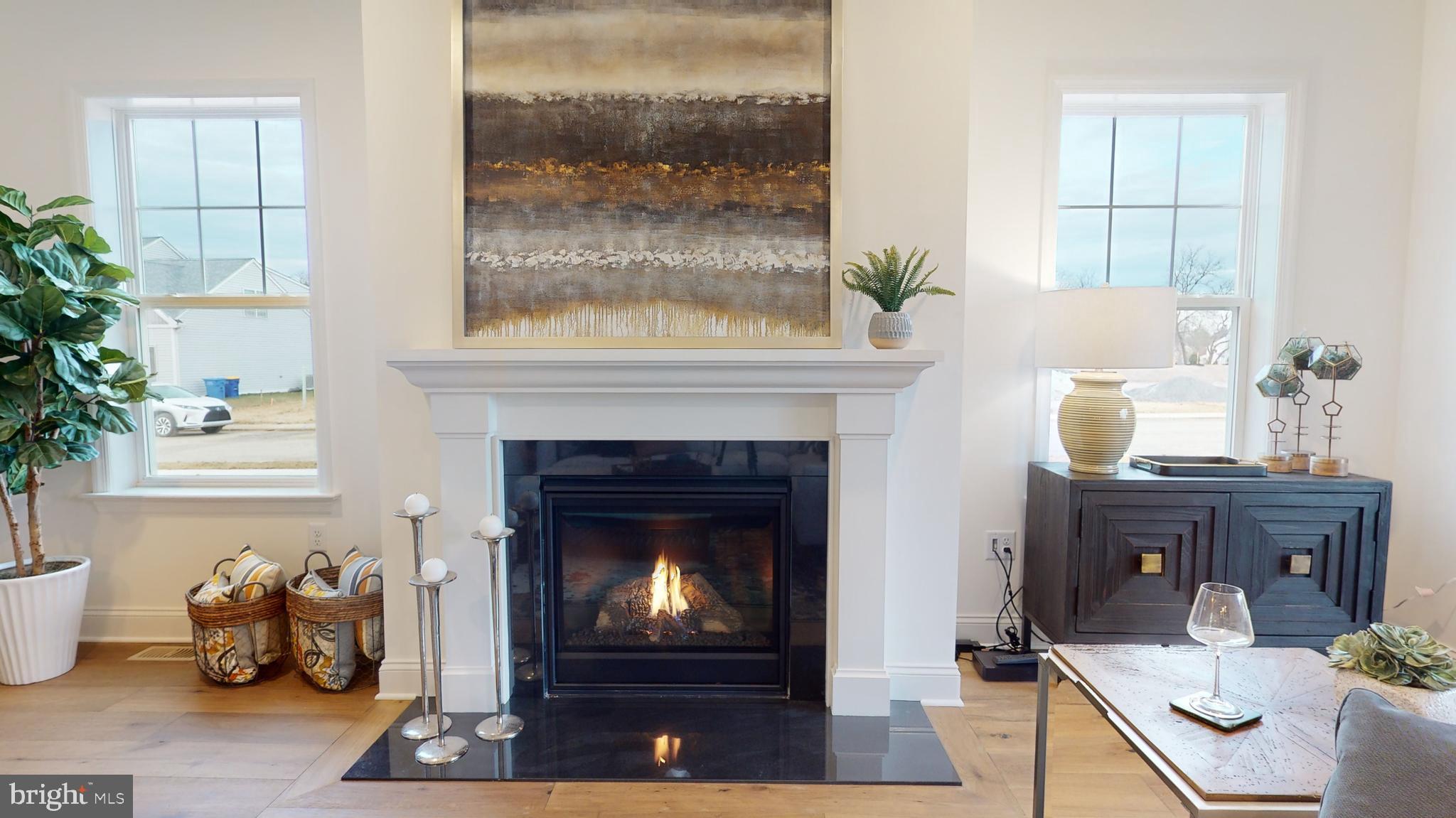 SPRING MEADOW RESERVE - Residential