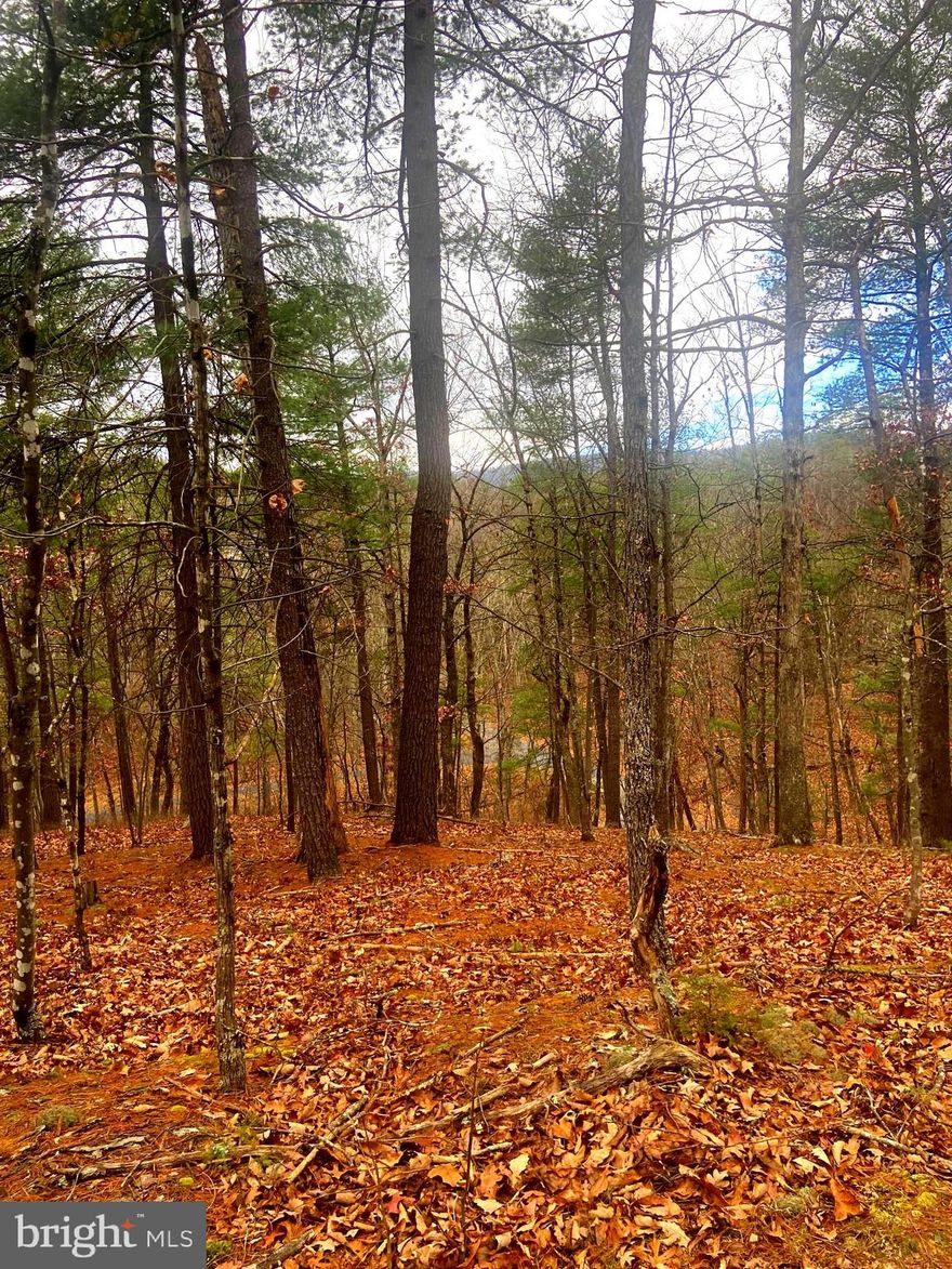 Fantastic Buildable Lot with Mountain Views Near Bryce Resort.  NO HOA 

Don’t miss this fantastic opportunity to own a gently sloping, buildable lot with stunning mountain views, offering privacy and direct access to a scenic hiking trail that circles Lake Laura—perfect for fishing, swimming, and kayaking! Just 5 minutes from the slopes and clubhouse at Bryce Resort.  The resort recently added four new backside trails for the 2025 season (a green, two blues, and a black) and a new SkyTrac Quad lift, increasing skiable terrain by 35% with full snowmaking support for the expanded area.  Enjoy year-round activities including downhill mountain biking, snow skiing, ice skating, snow tubing, pickleball, an 18-hole golf course, driving range, and an indoor heated saltwater pool and fitness center. 

Whether you’re looking to build your dream vacation home, generate income as a short-term rental, or settle in as a year-round resident, this lot offers endless possibilities with NO HOA restrictions.

Bonus Opportunity: An additional 11 lots are available for sale—8 adjoining this lot and 3 more nearby—offering even more space to expand your vision.

Seize this rare chance to create your own private retreat in the heart of adventure!