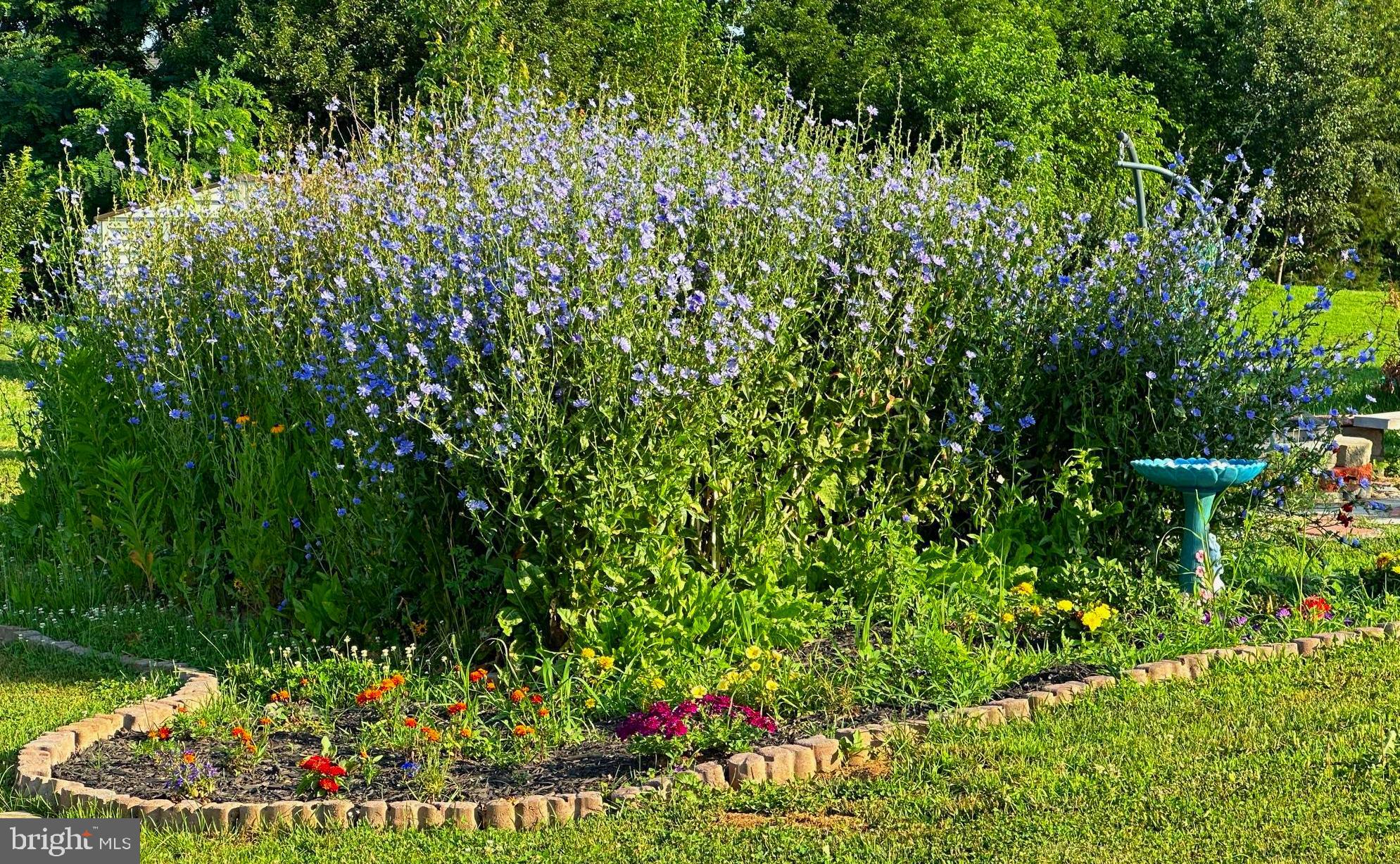 CLAGGETTS MILL - Residential