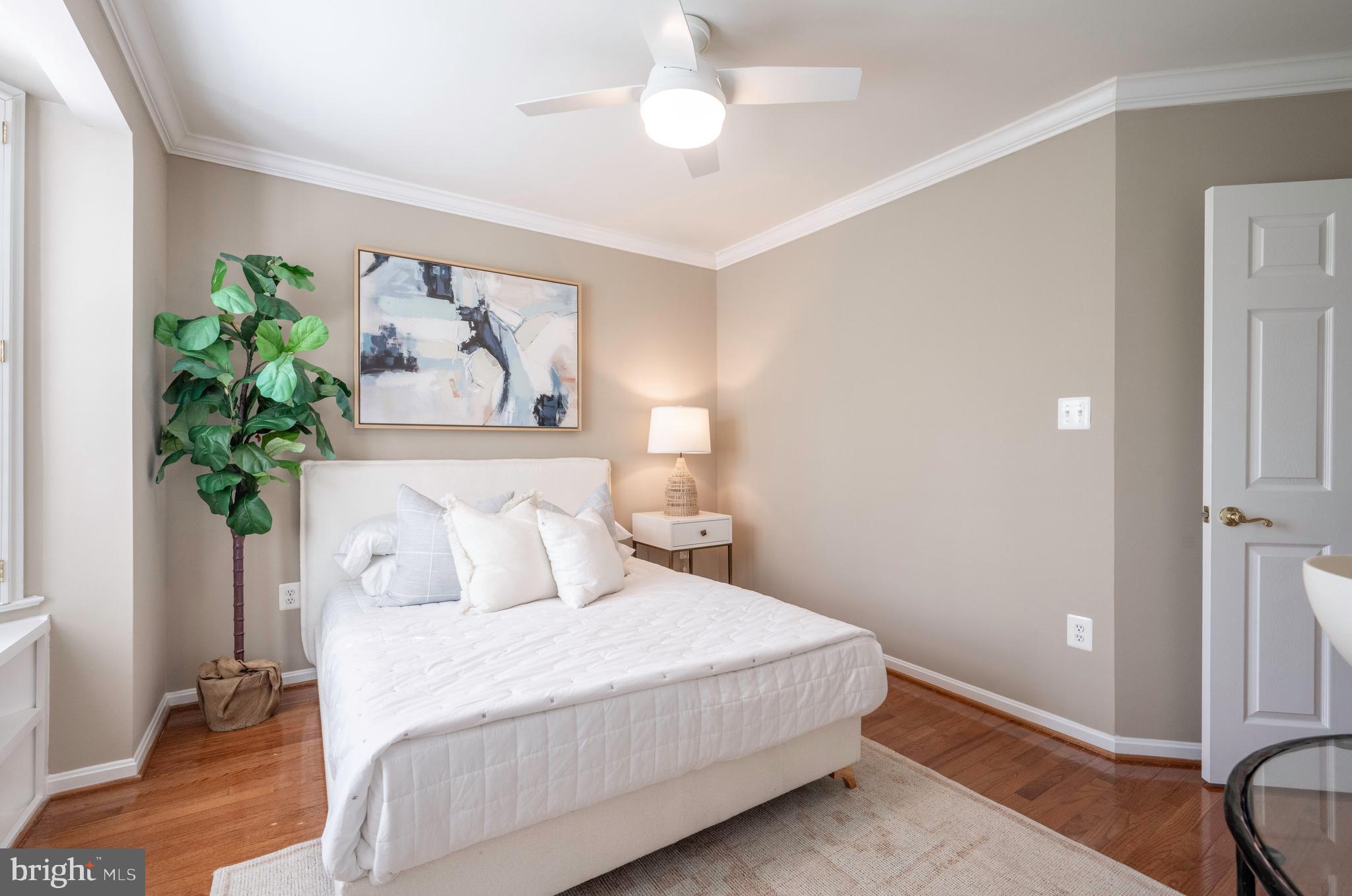 OLD TOWN - Residential