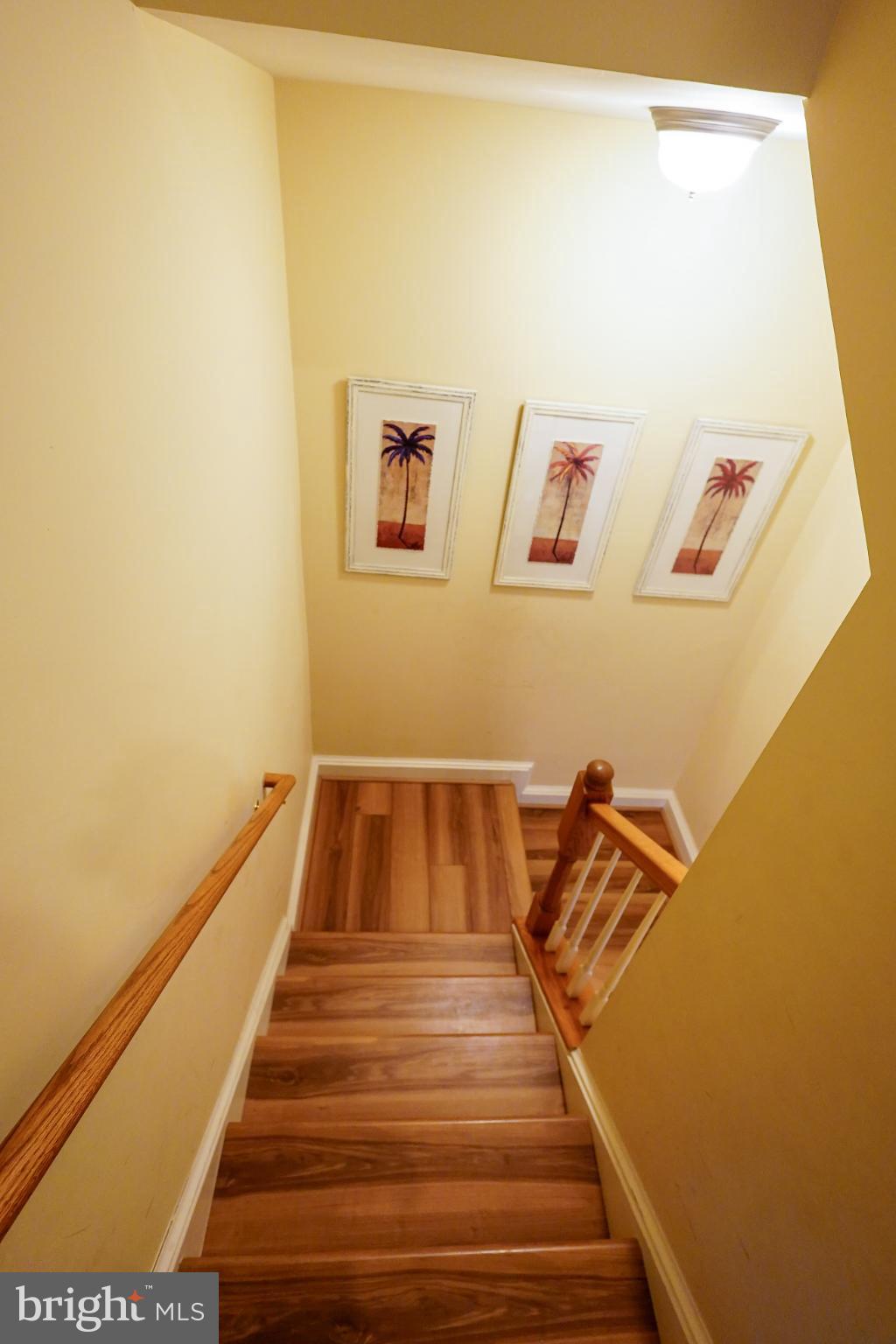 SUNSET ISLAND - Residential