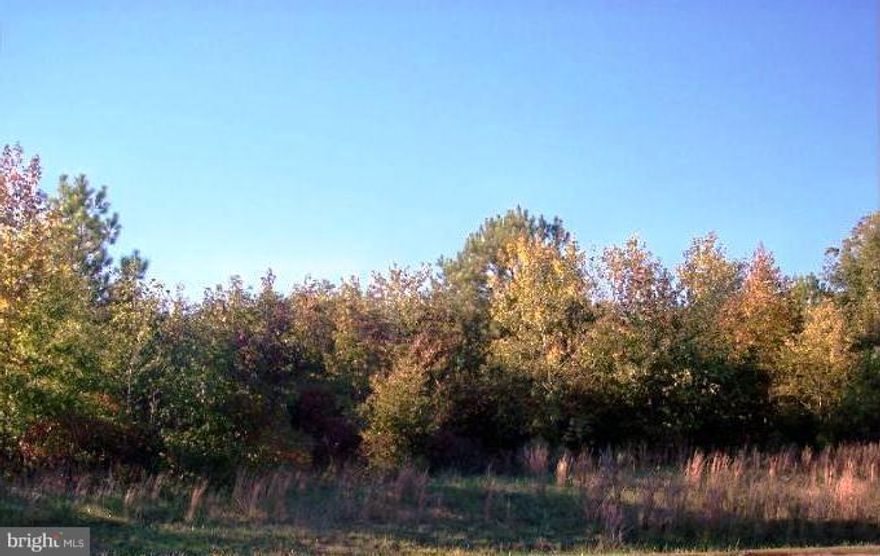 Lot 22 (1.83 ACRES). Located in a small subdivision of just 22 lots. End of the street. Very private. Backs up to a park. Approved perc and recorded plat. Minimal covenants and restrictions. No HOA.