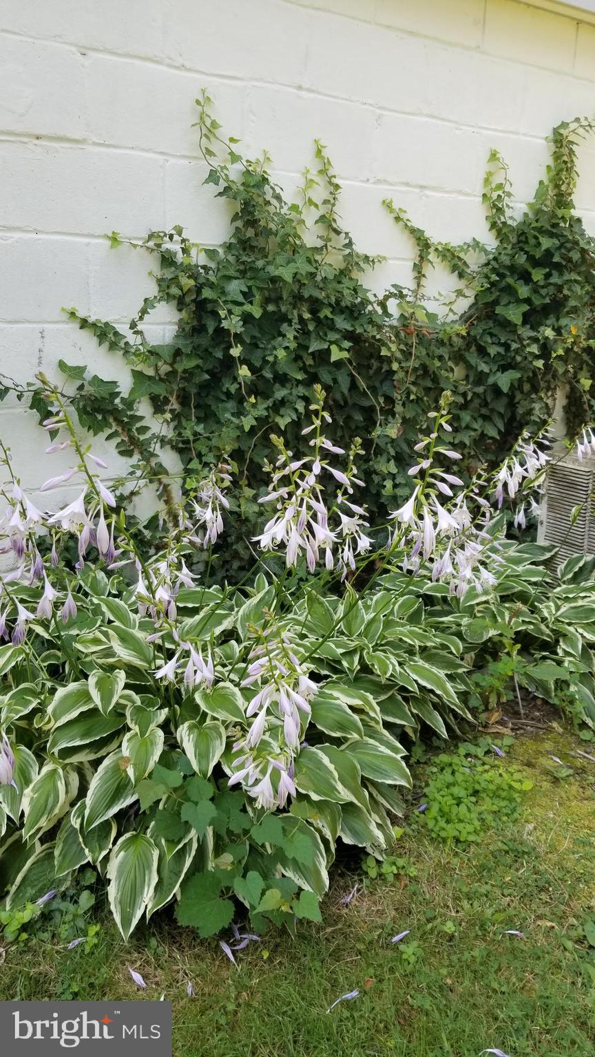 HYATTSVILLE HILLS - Residential Lease