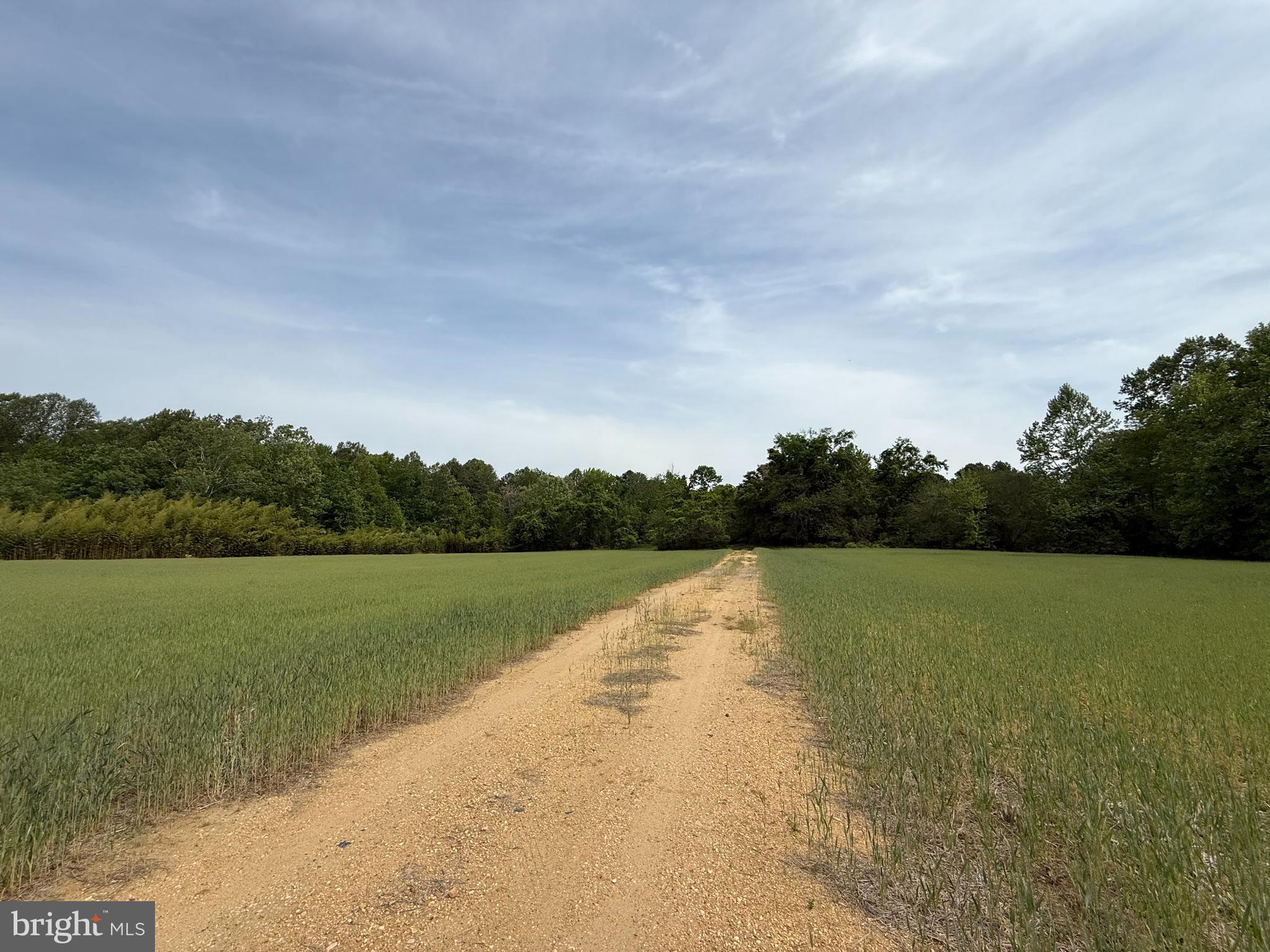 26200 LOCUST GROVE FARM LANE