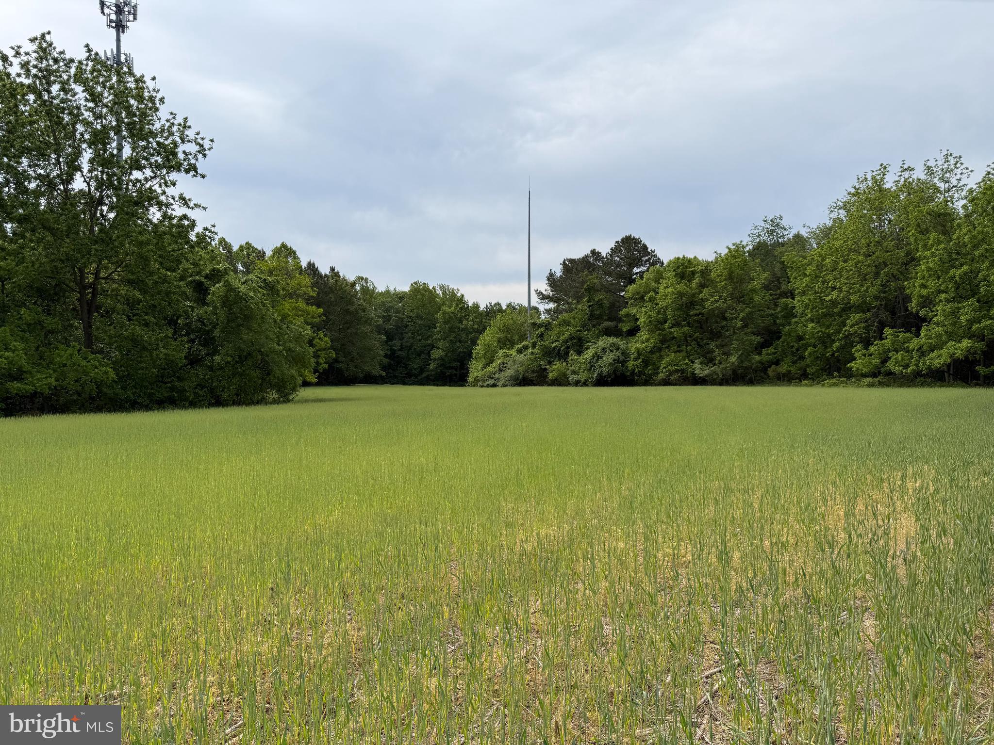26200 LOCUST GROVE FARM LANE