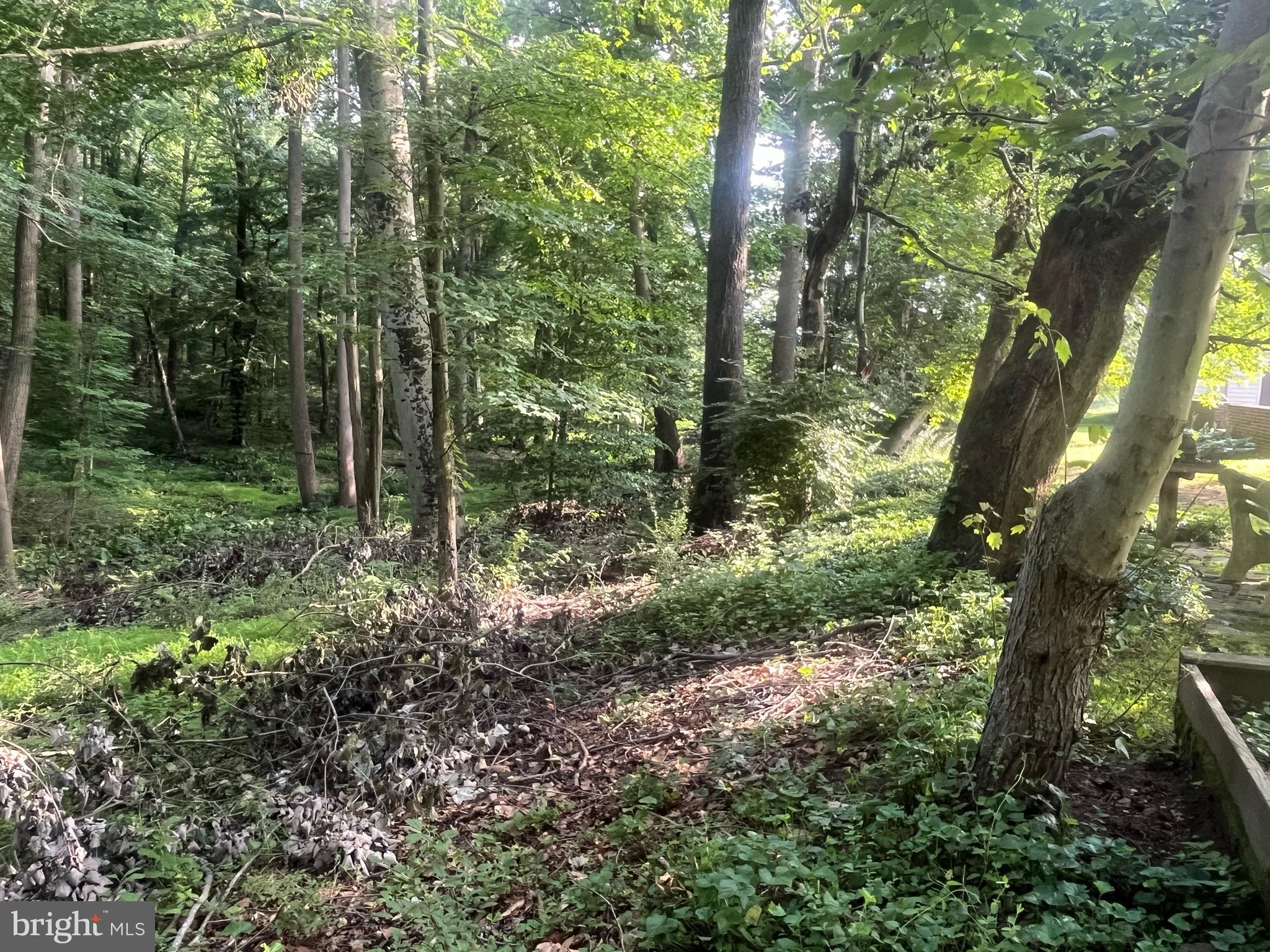 115 CHANDLER MILL ROAD