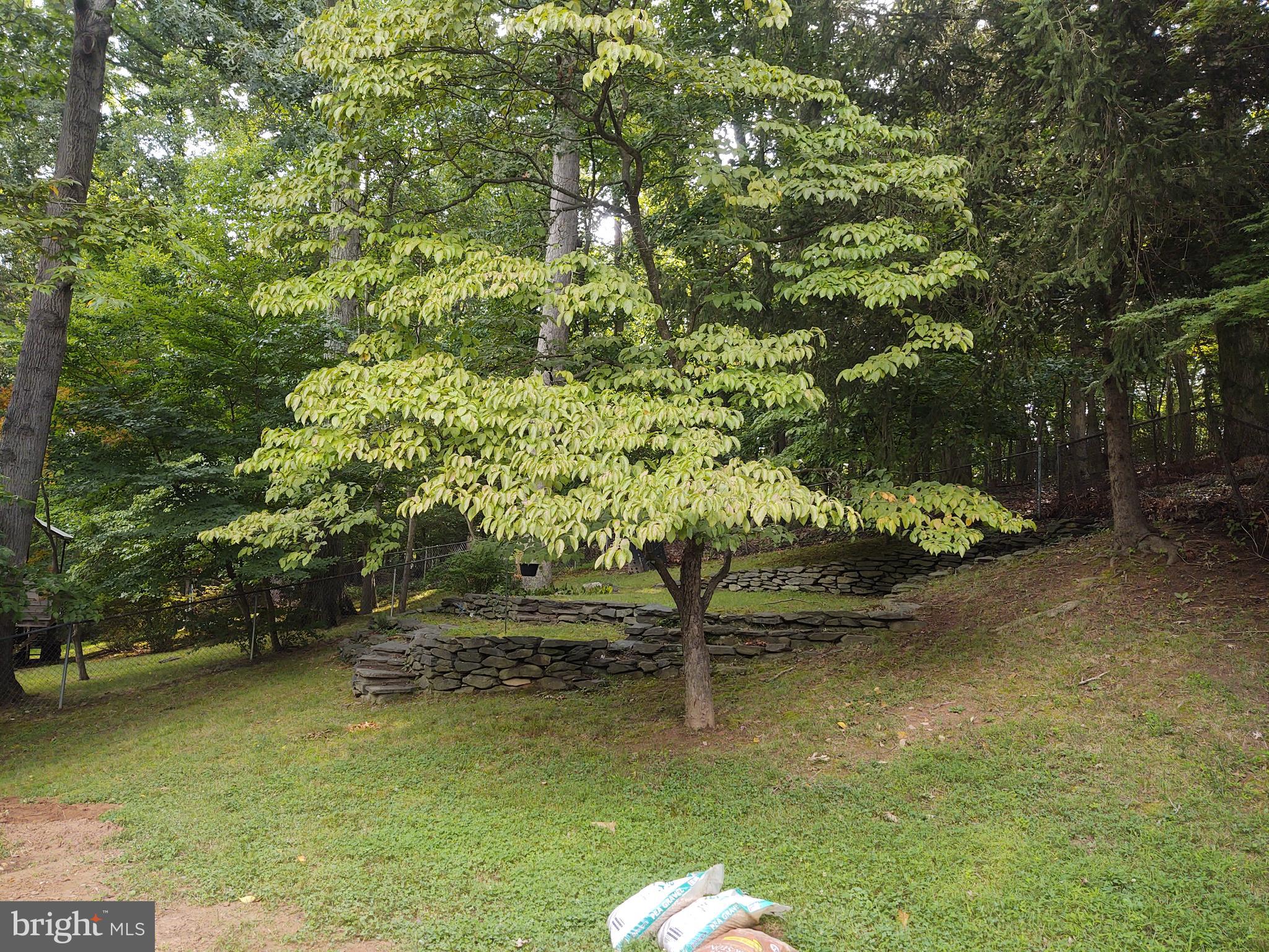 KEMP MILL ESTATES - Residential Lease