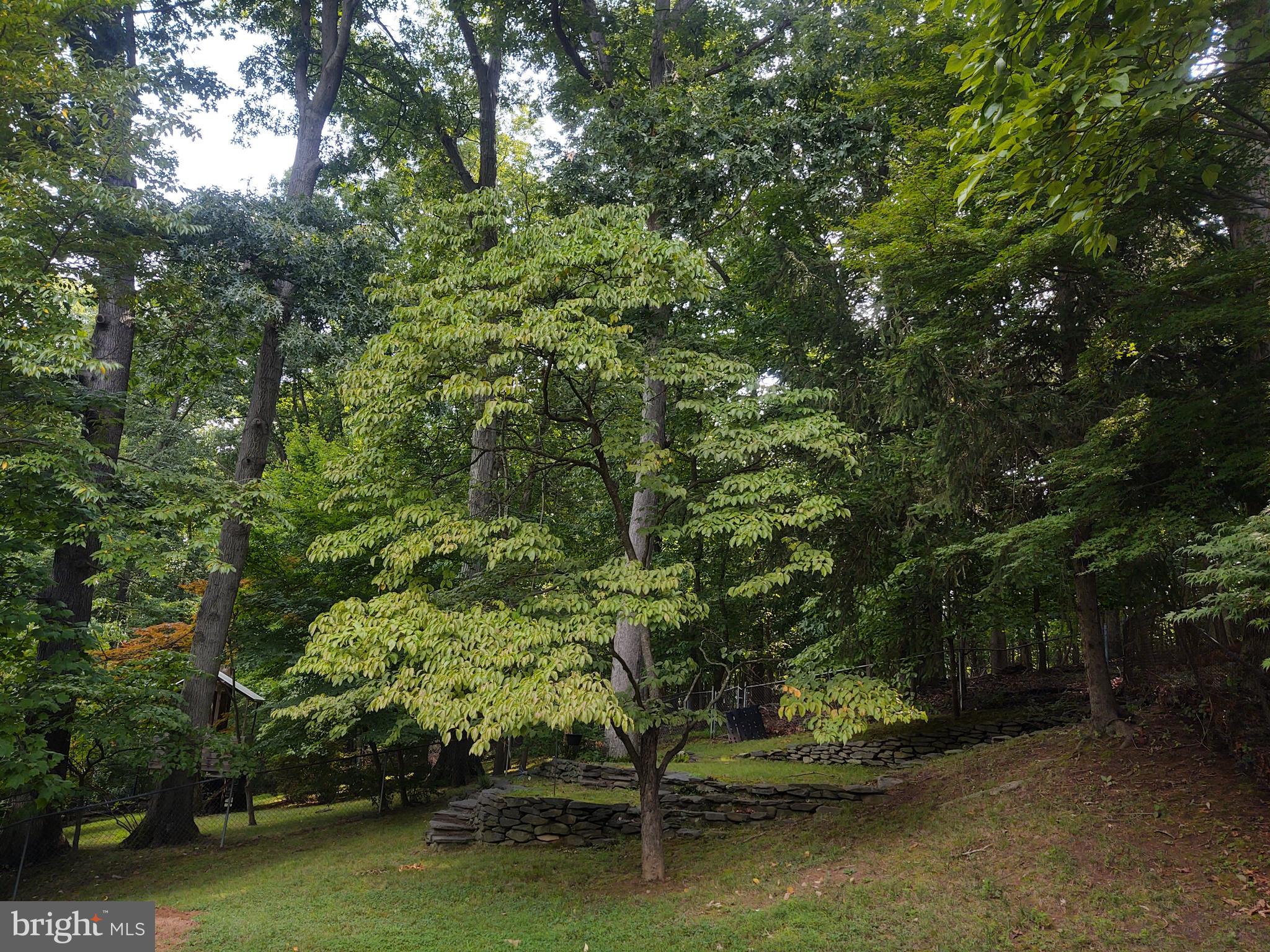 KEMP MILL ESTATES - Residential Lease