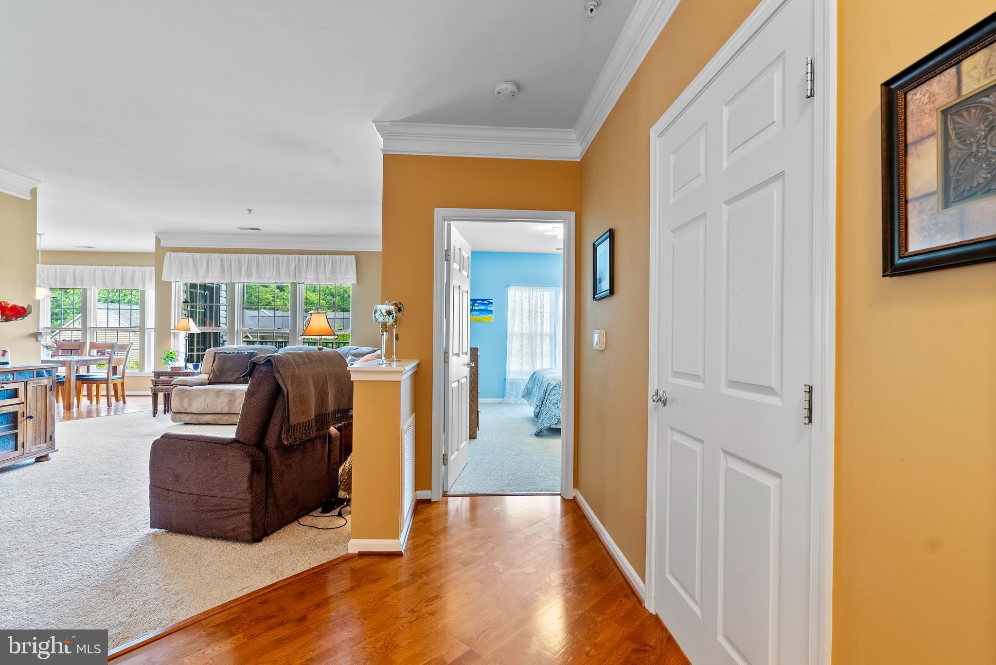 207 SECRETARIAT DRIVE M