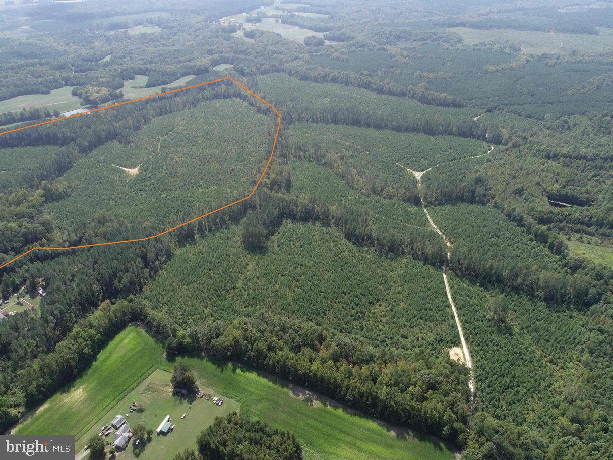 DAVIS LOWGROUND ROAD (TRACT: BIG JUNIPER-1)