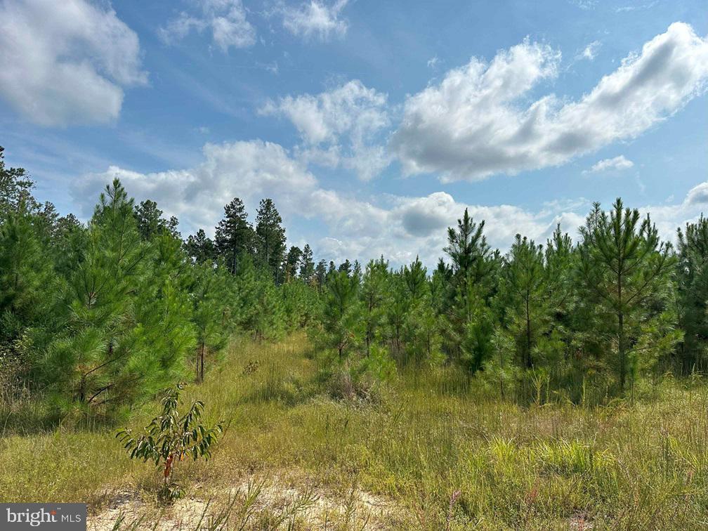 DAVIS LOWGROUND ROAD (TRACT: BIG JUNIPER-1)