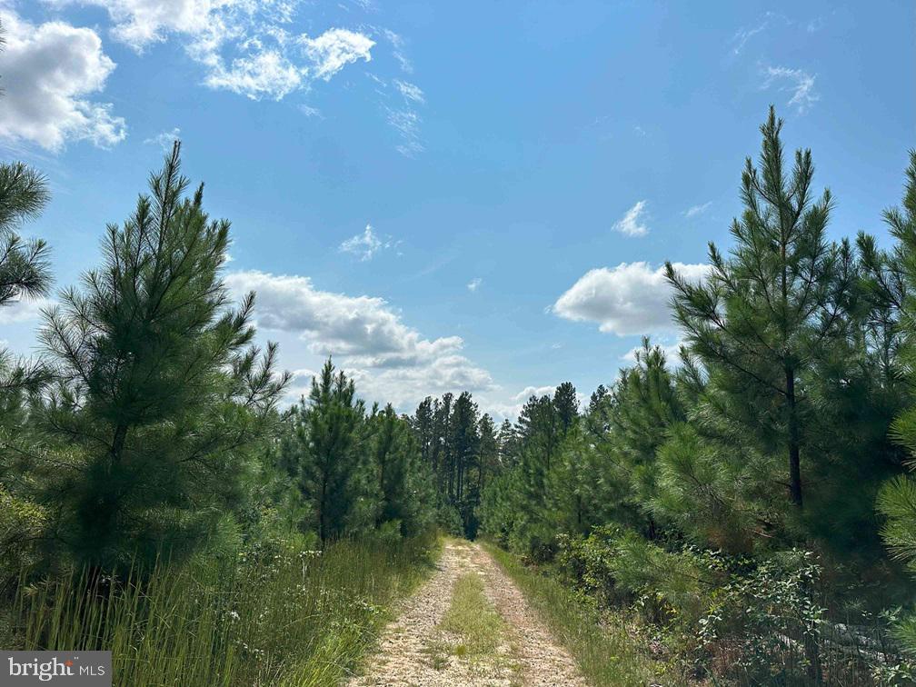 DAVIS LOWGROUND ROAD (TRACT: BIG JUNIPER-1)