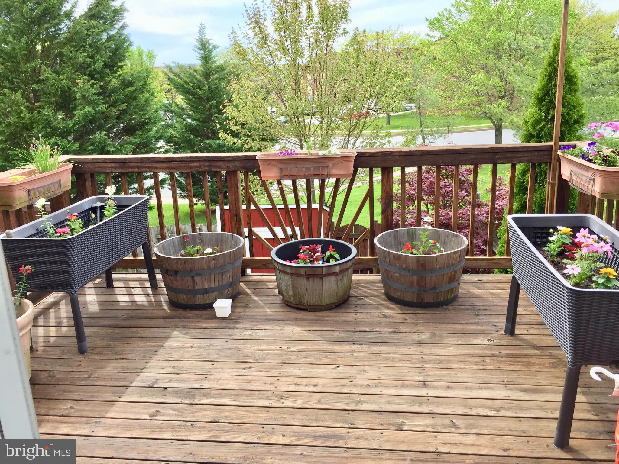 TRAILWOOD - Residential