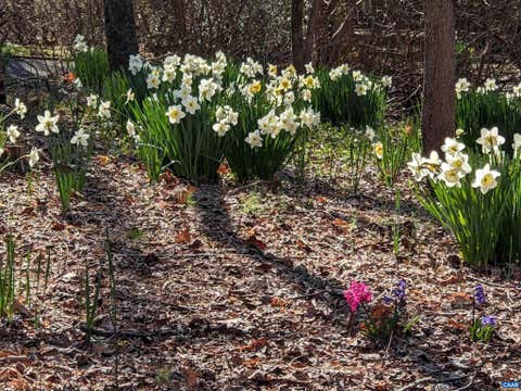 Tiny photo for 2200 Rocky Run Run, CHARLOTTESVILLE, VA 22901 (MLS # 677793)