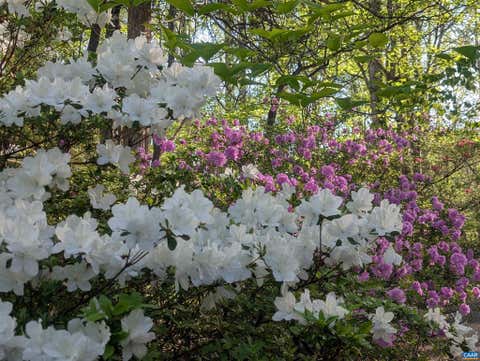 Tiny photo for 2200 Rocky Run Run, CHARLOTTESVILLE, VA 22901 (MLS # 677793)