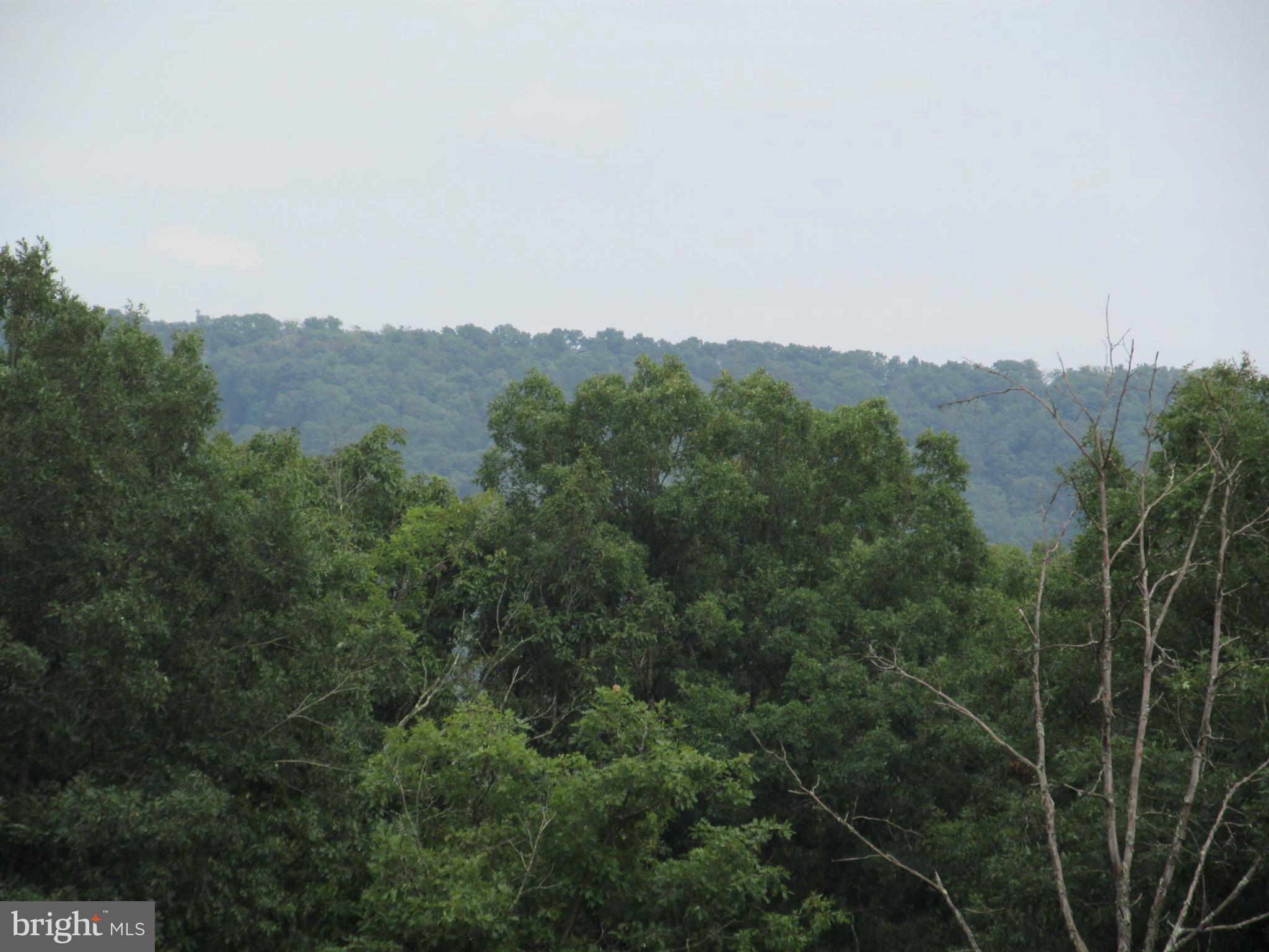 FALLBUSH MT EST - Residential