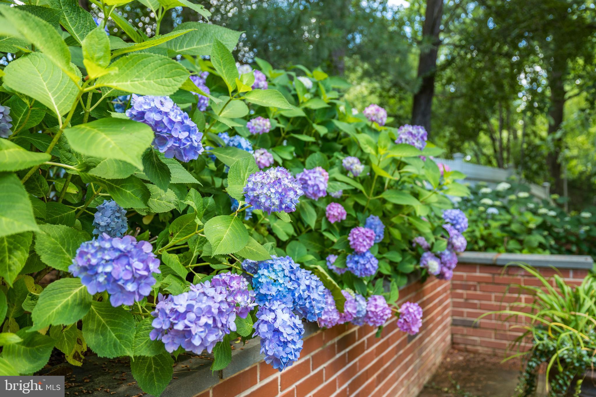 SUGAR MILL MEADOW - Residential